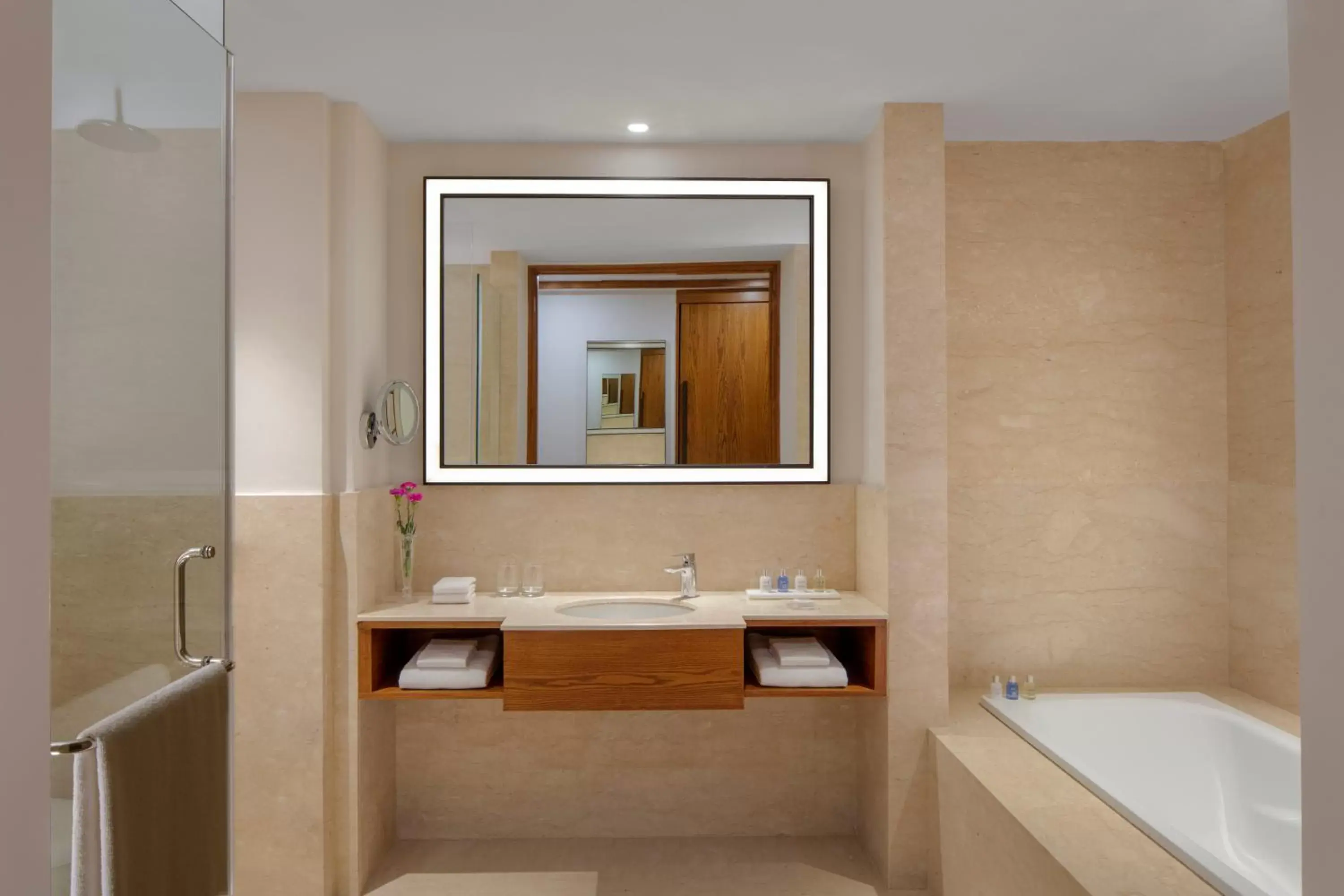 Bathroom in Radisson Blu Plaza Hotel Mysore