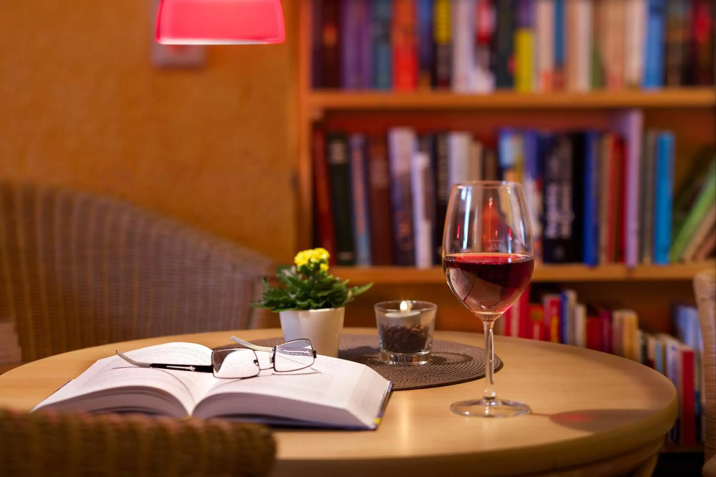 Lounge or bar, Library in Landhotel Seeg