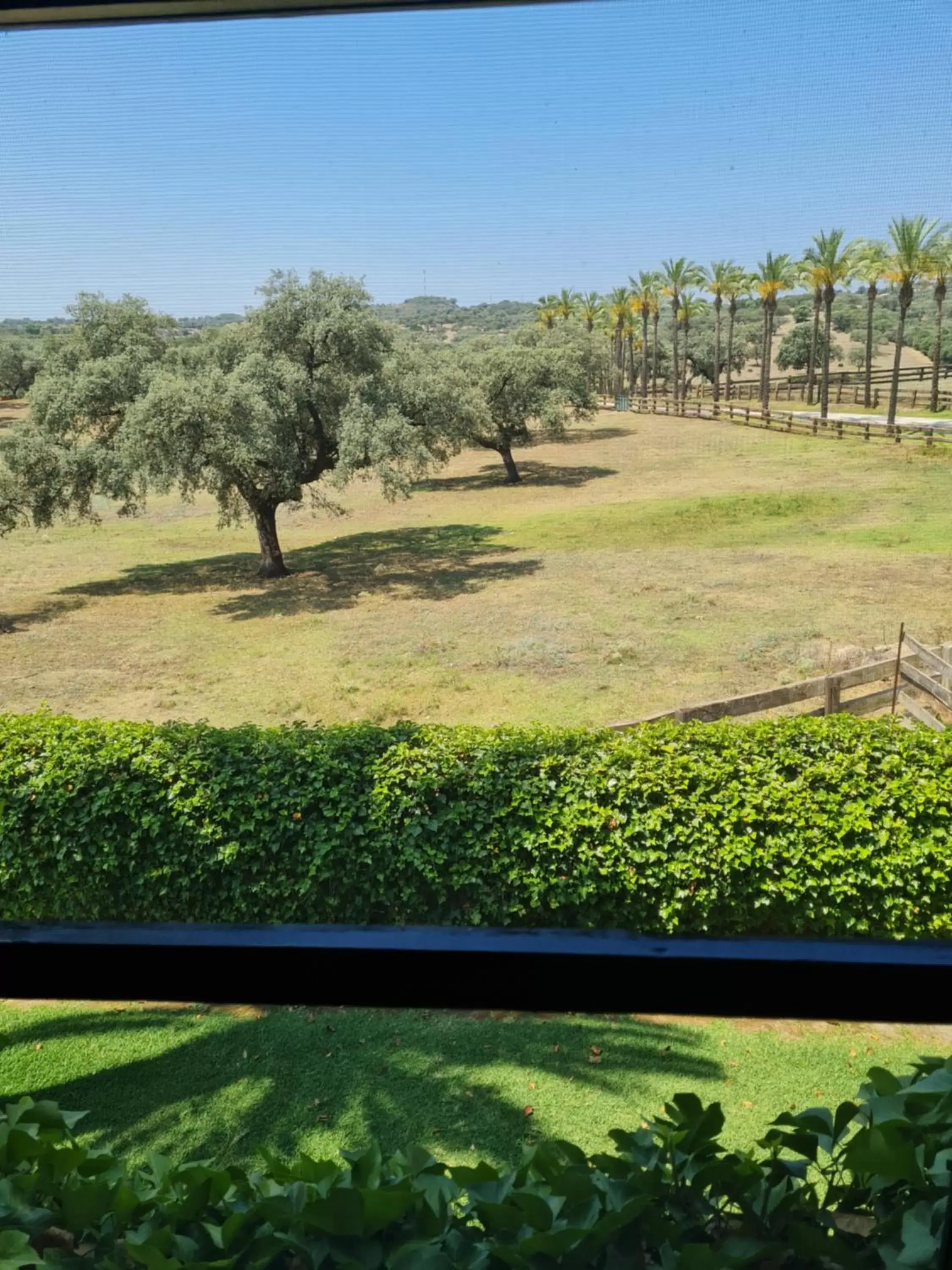 Landmark view, Garden in Alojamiento Rural Finca Barral