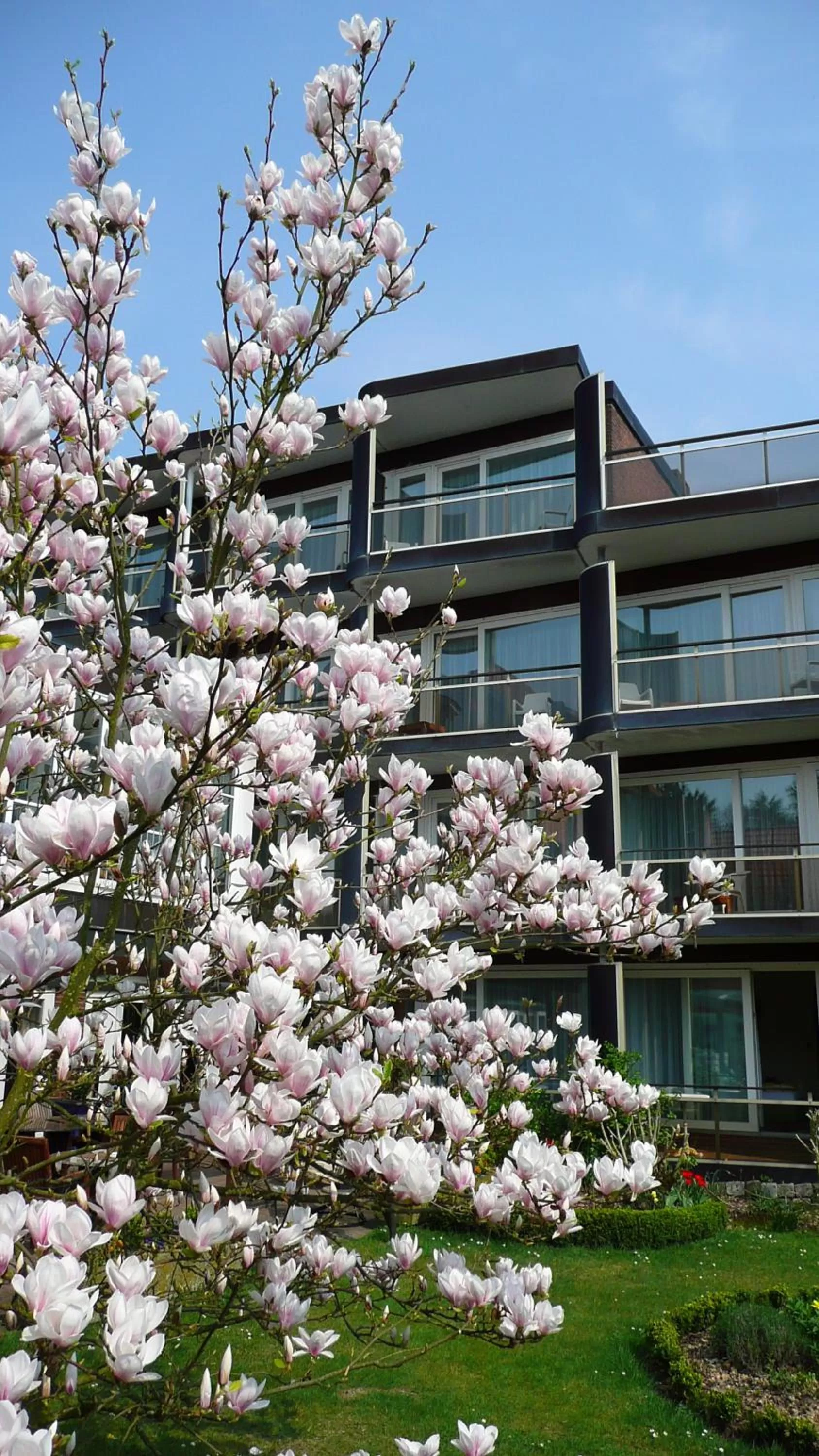 Facade/entrance in Hotel Wehrburg