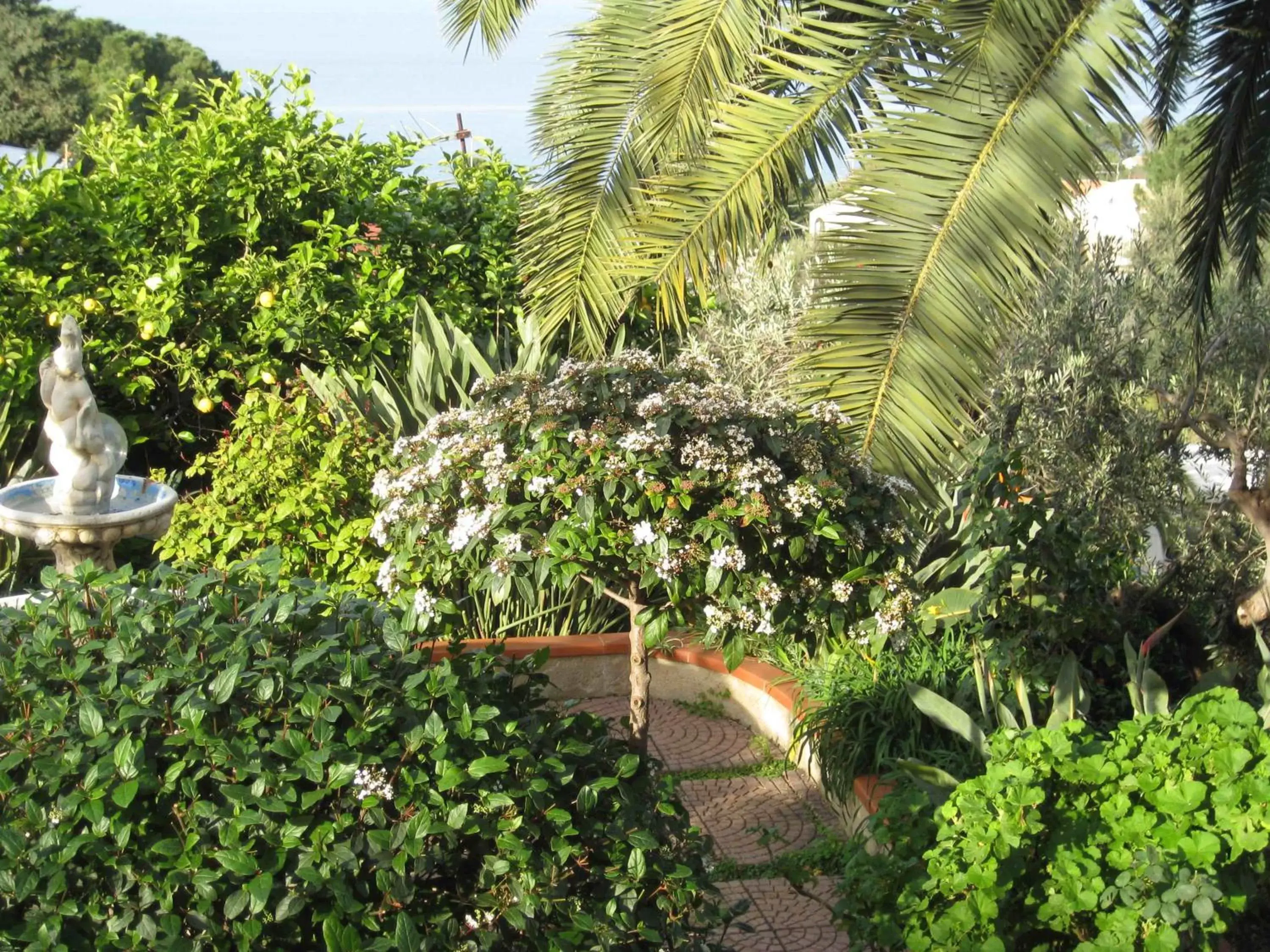 Garden in Stanza in Villa con giardino vista mare