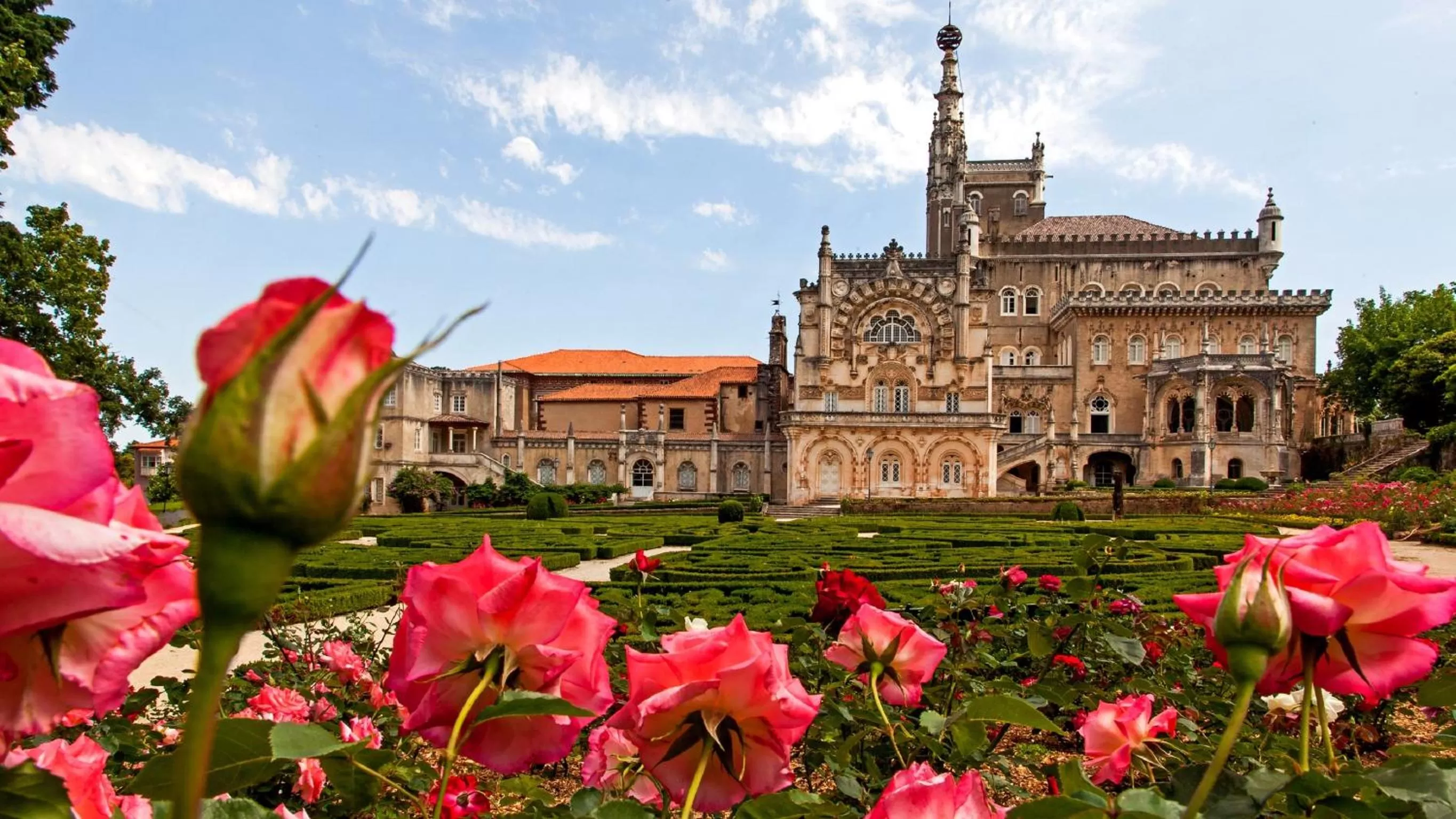 Garden in Palace Hotel do Bussaco