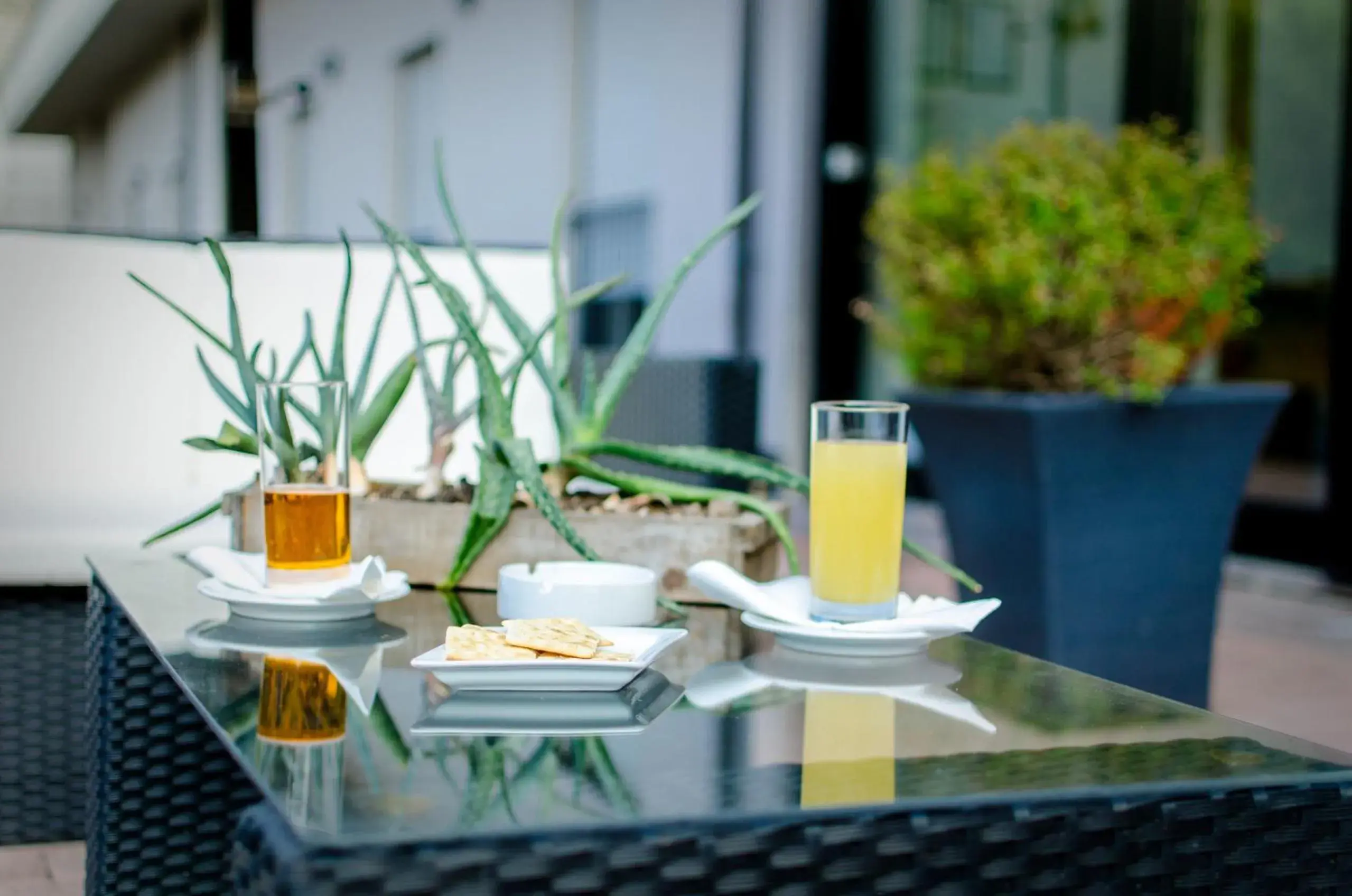 Property building in Hotel Federico II Property building in Hotel Federico II