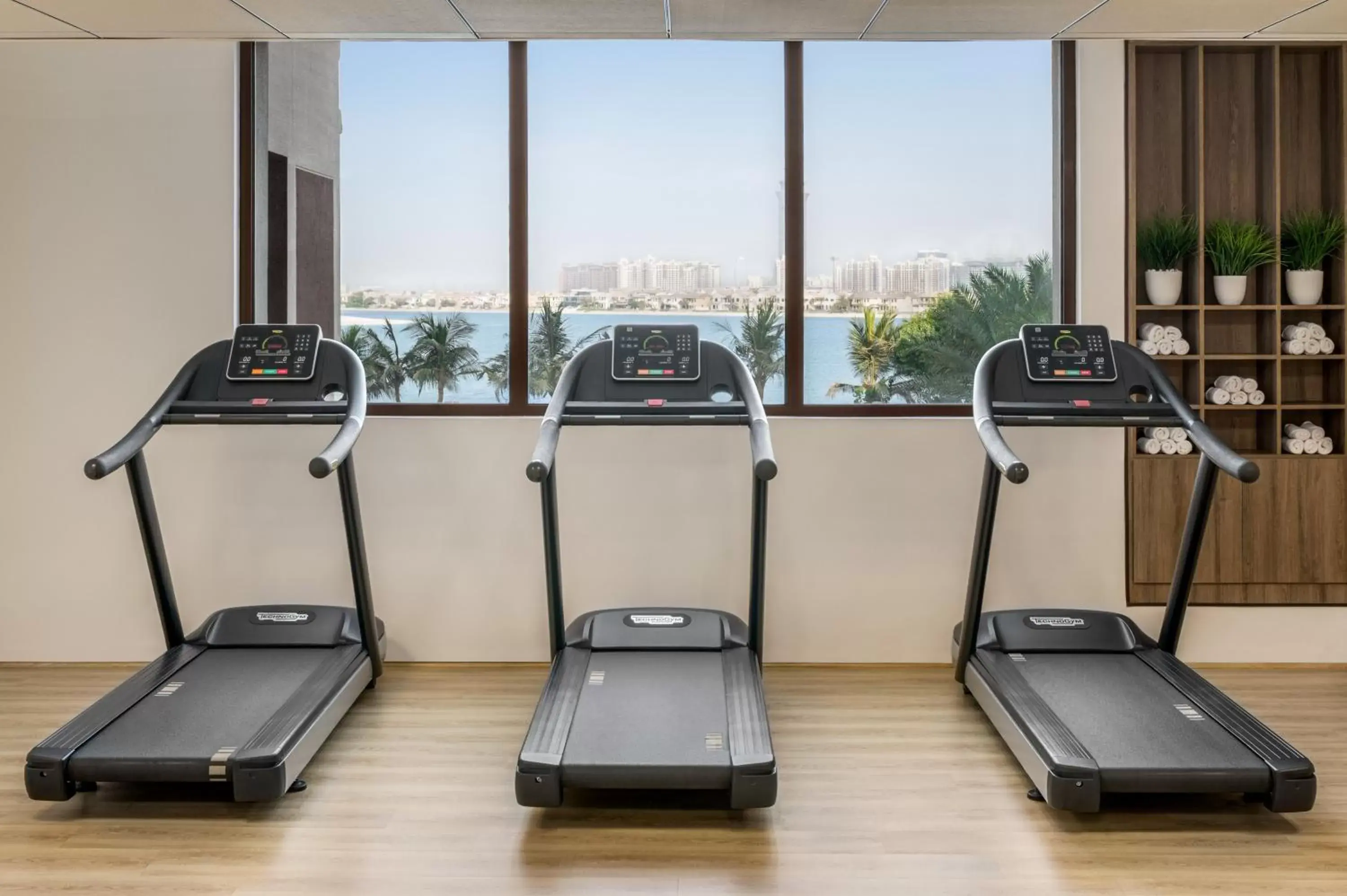 Fitness centre/facilities, Fitness Center/Facilities in Wyndham Residences The Palm
