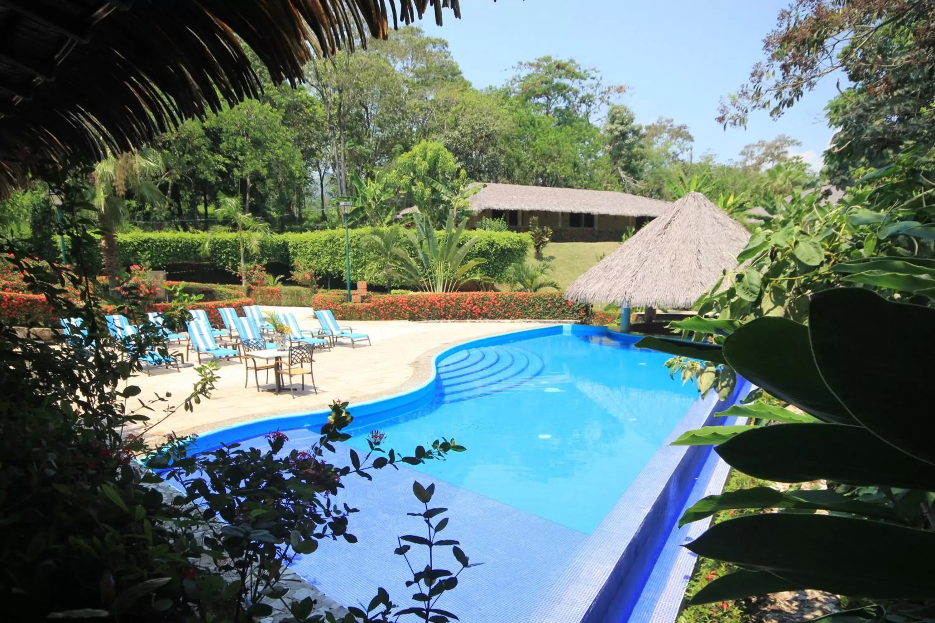 Swimming pool, Pool View in Hotel Villa Mercedes Palenque