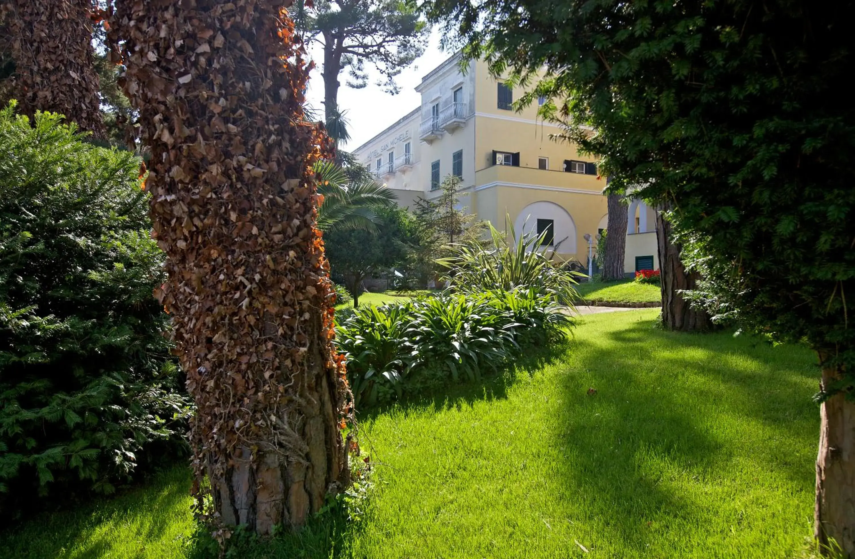 Garden, Property Building in Hotel San Michele