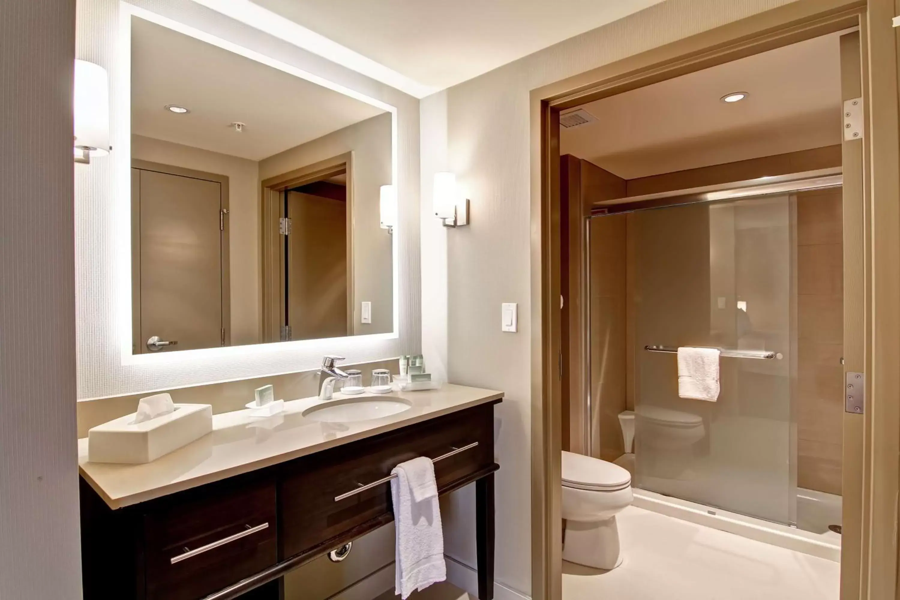 Bathroom in Homewood Suites by Hilton Toronto-Ajax