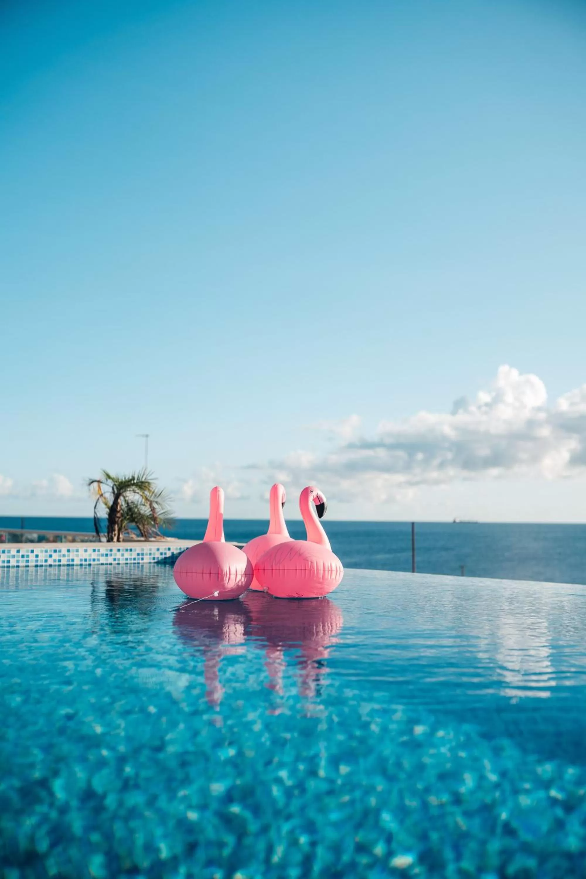 Restaurant/places to eat in Elements Hotel & Shops Curaçao