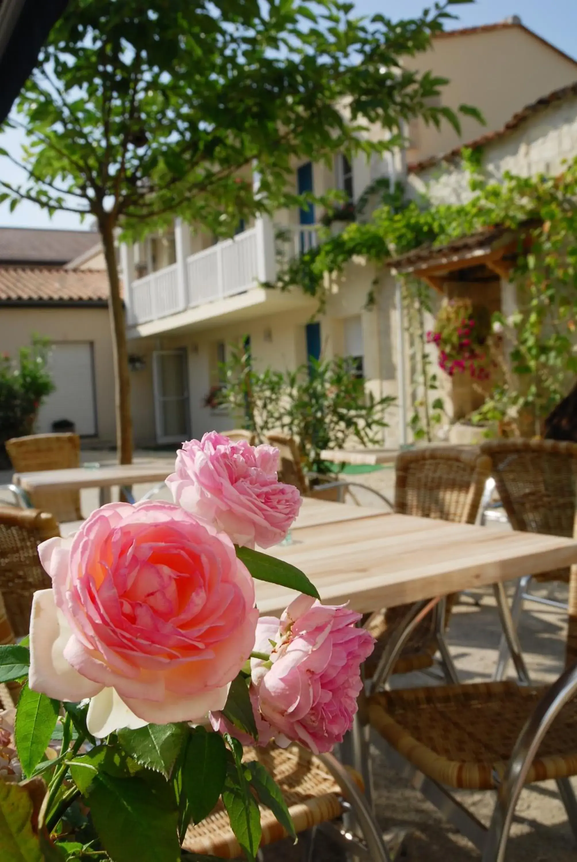 Patio in Cit'Hotel Le Cheval Blanc