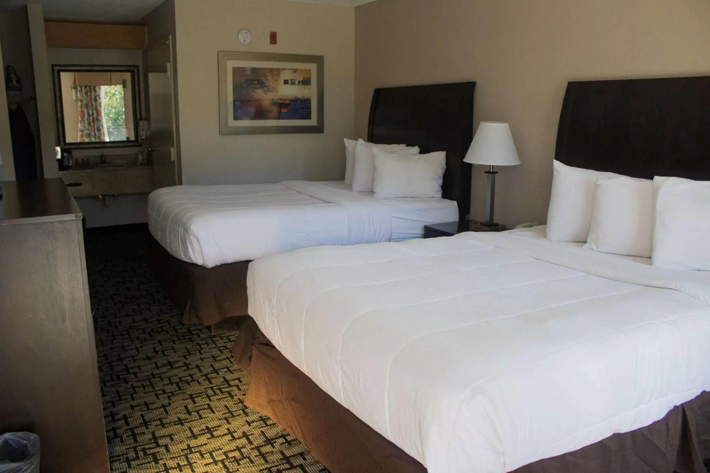 Bed in SureStay Hotel by Best Western North Myrtle Beach