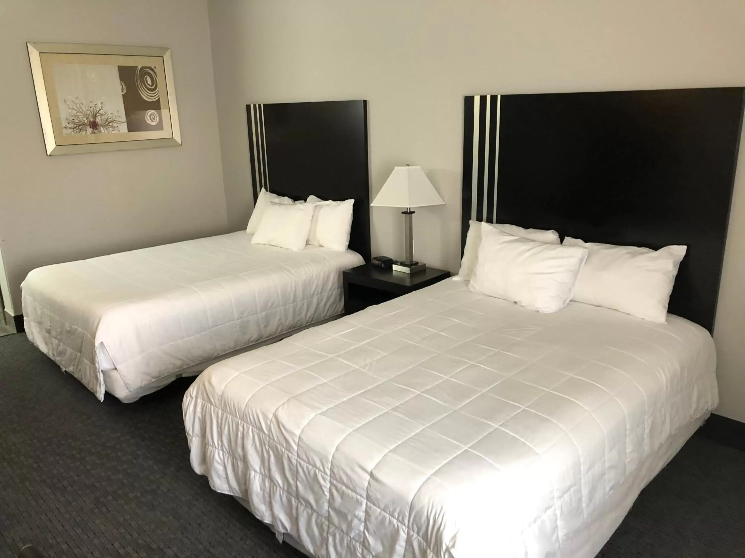 Photo of the whole room, Bed in Lea County Inn