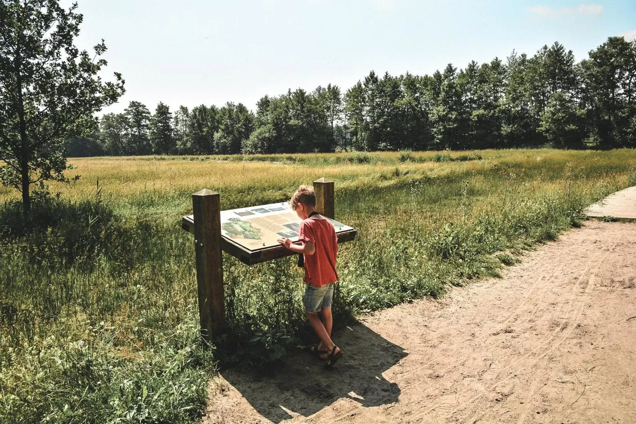 Natural landscape in Witte Berken Natuurhotel