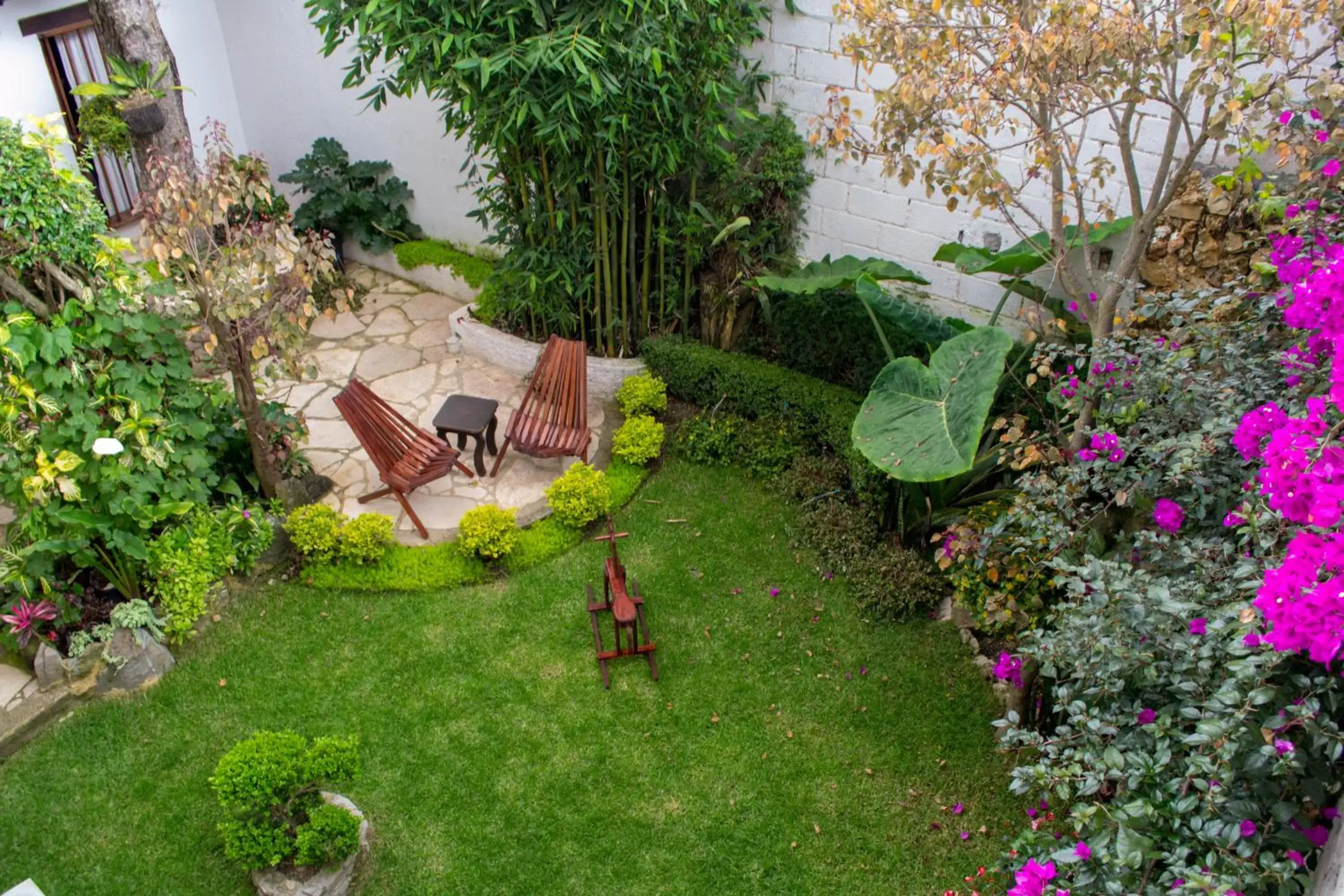 Patio in Arte Sano Hotel San Cristobal