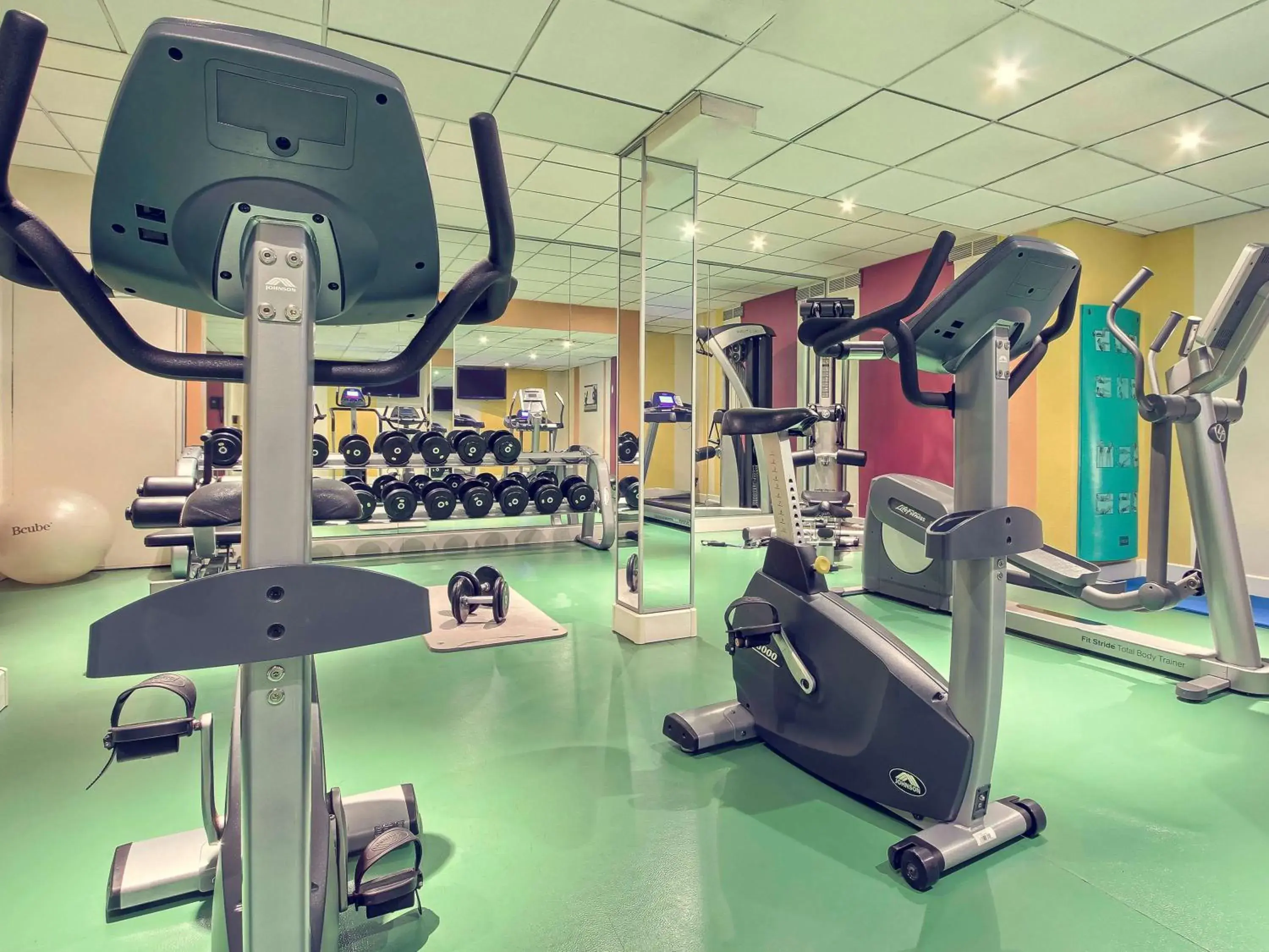 Fitness centre/facilities, Fitness Center/Facilities in Mercure Paris Velizy