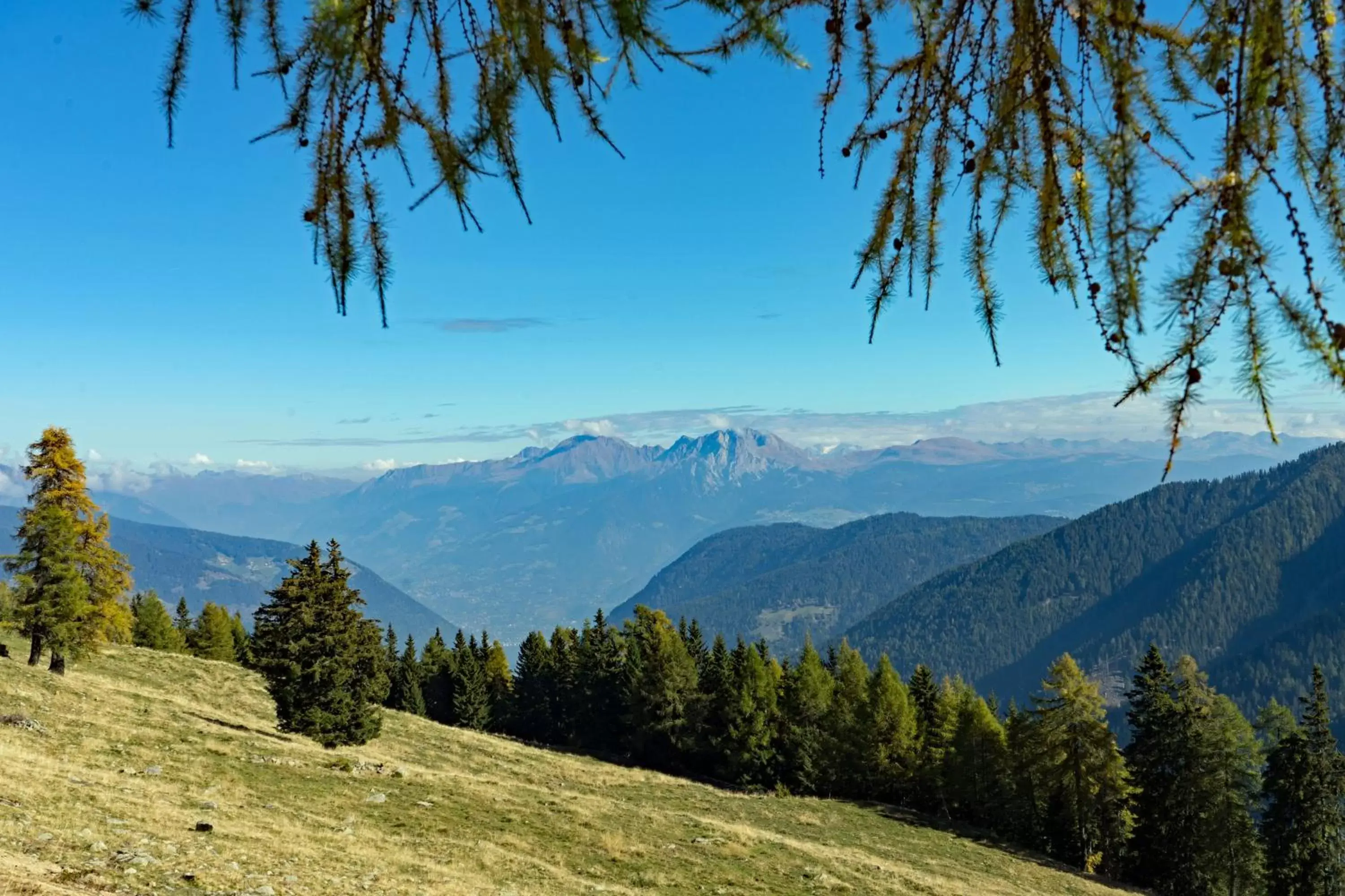 Natural landscape in Hotel Alpenhof