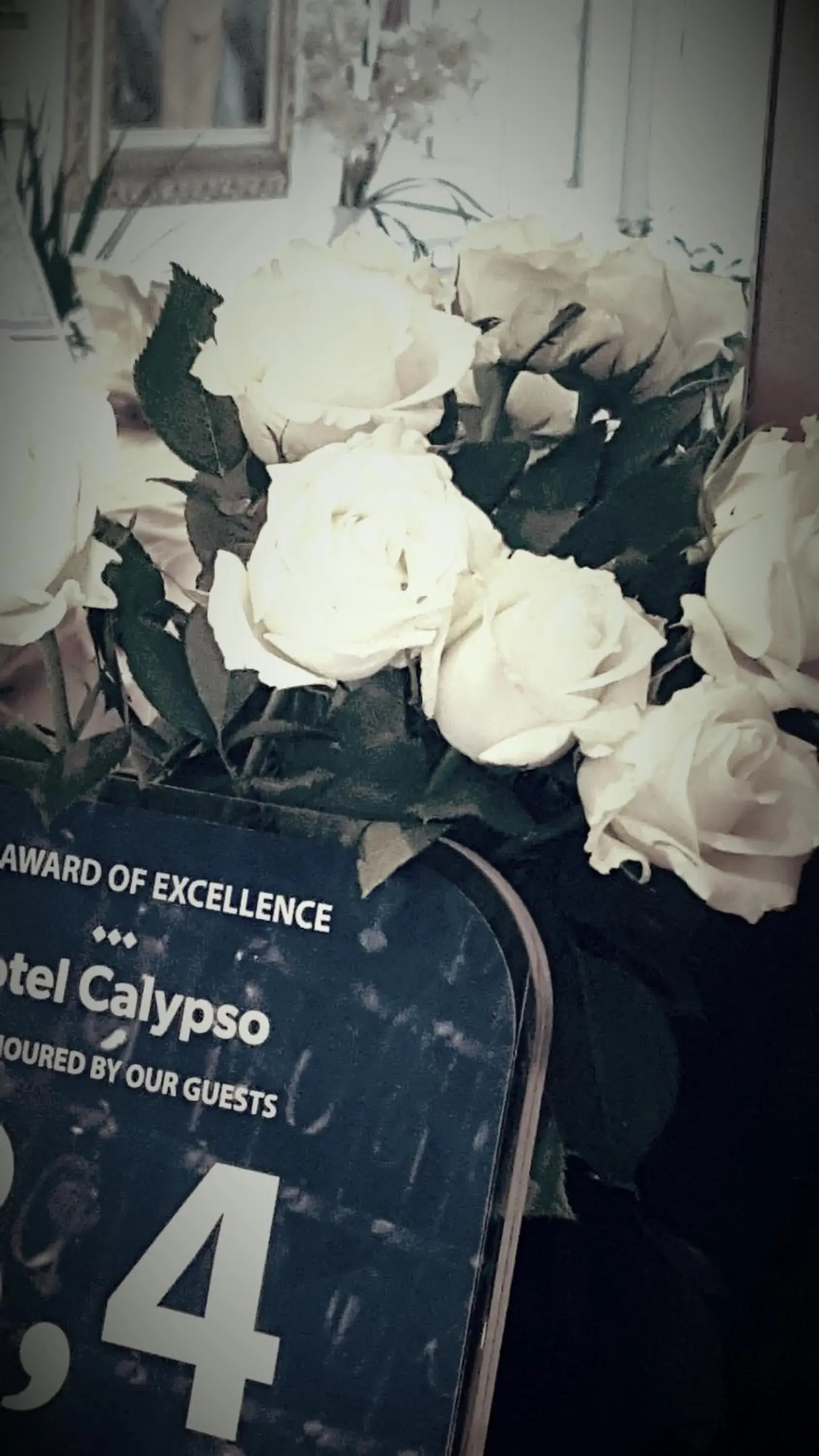 Certificate/Award in Hotel Calypso