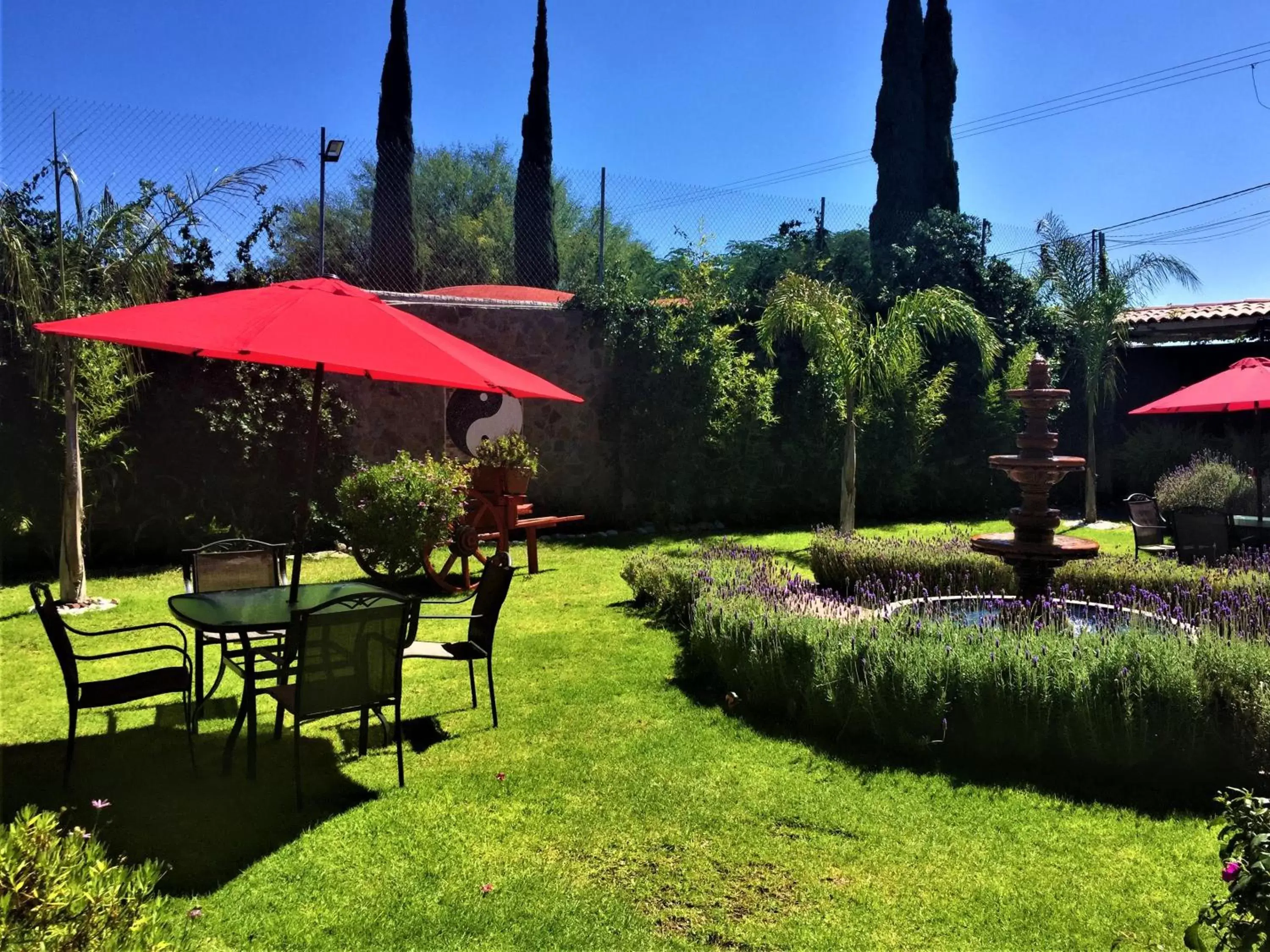 Garden in Hotel Boutique La Herencia