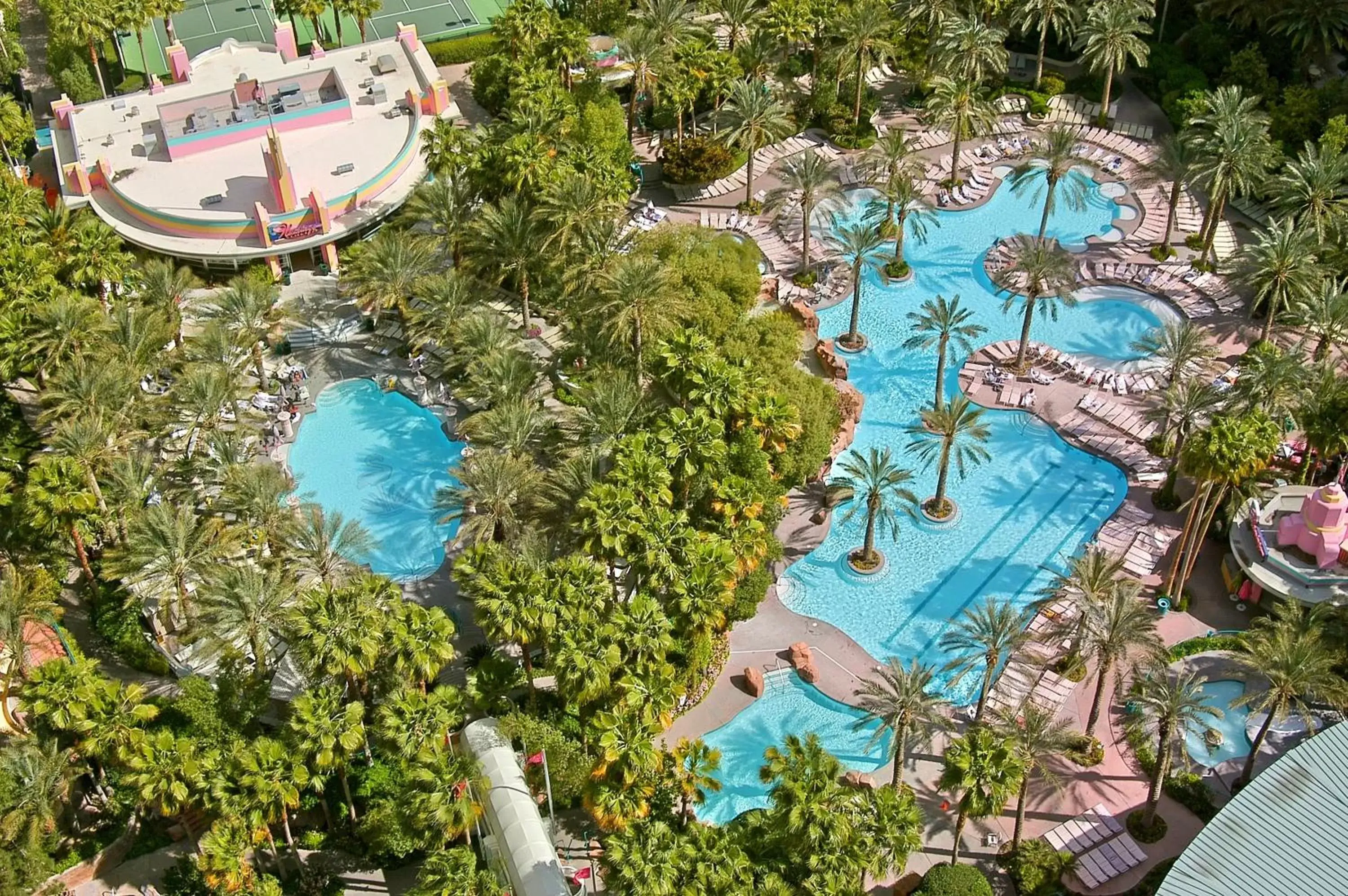 Swimming pool, Pool View in Flamingo Las Vegas Hotel & Casino