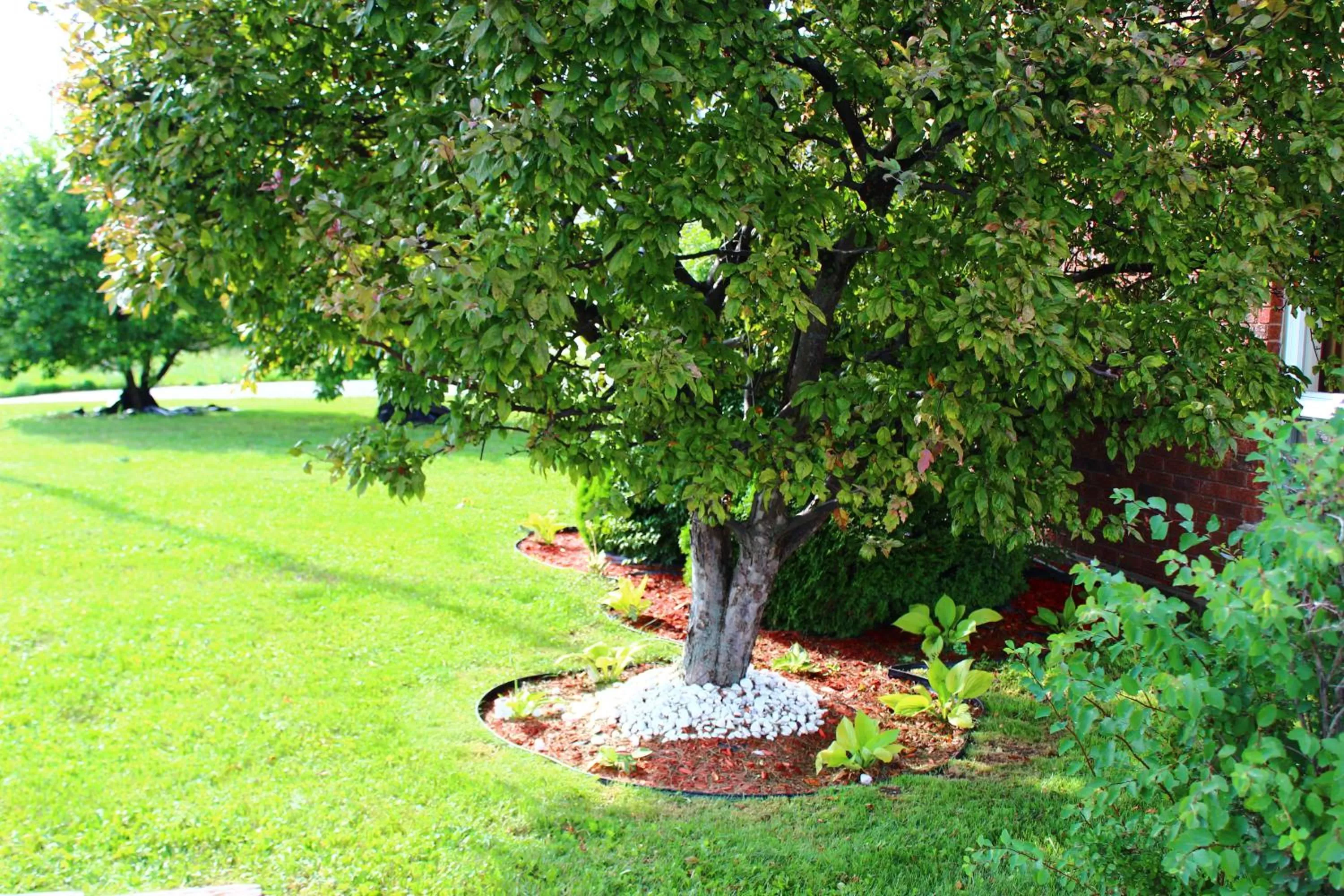 Day in Hawberry Motel