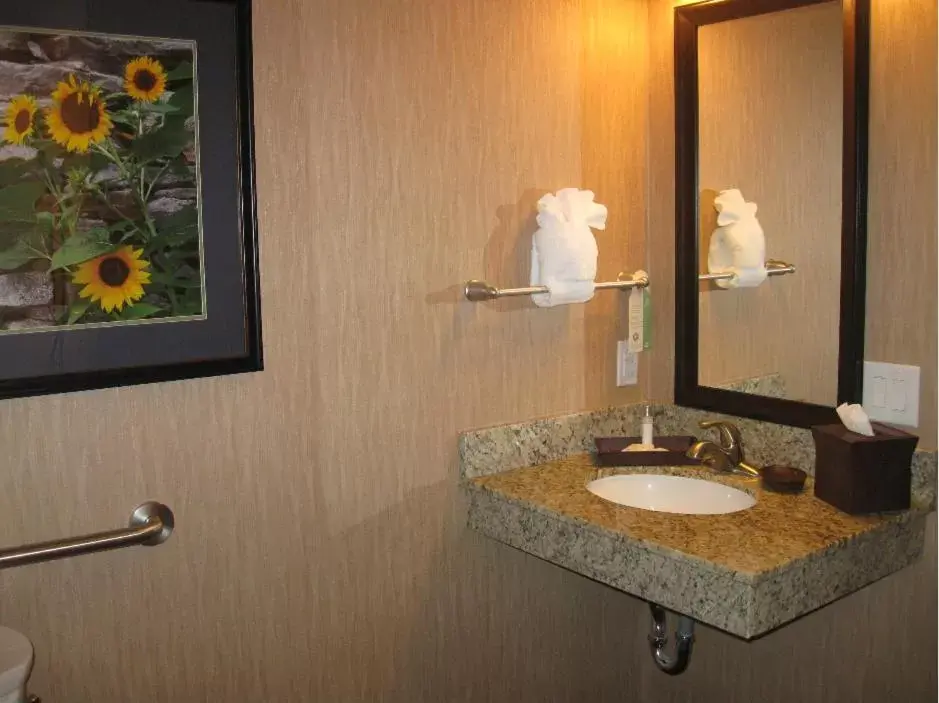 Bathroom in Little Missouri Inn & Suites Watford City