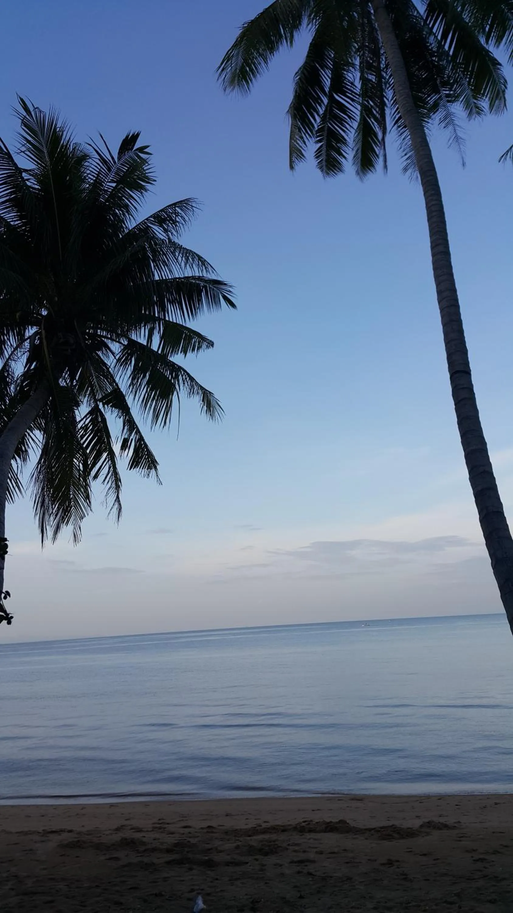 Neighbourhood in The Now Hotel - SHA Extra Plus