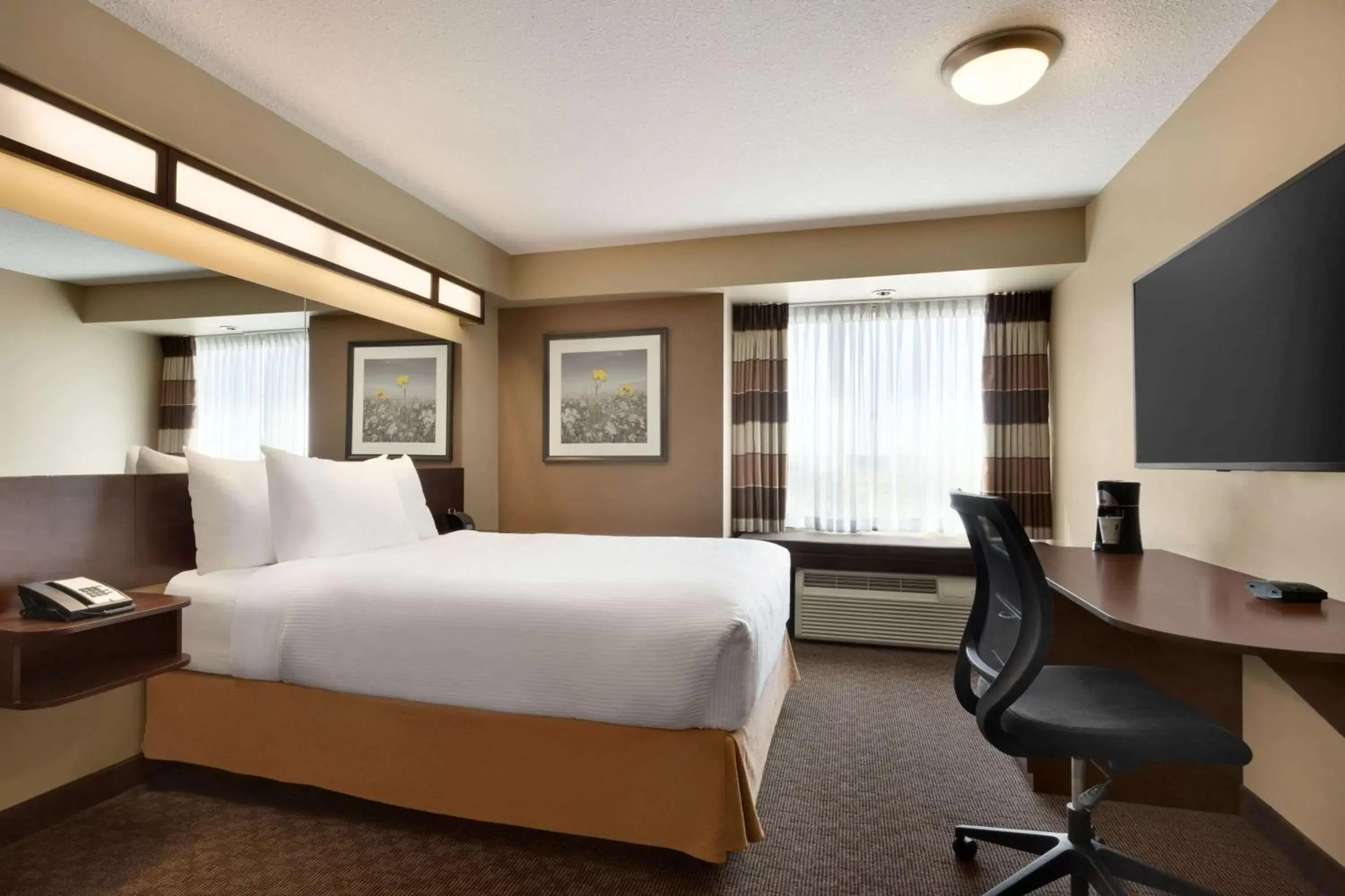 Photo of the whole room in Microtel Inn and Suites by Wyndham Weyburn