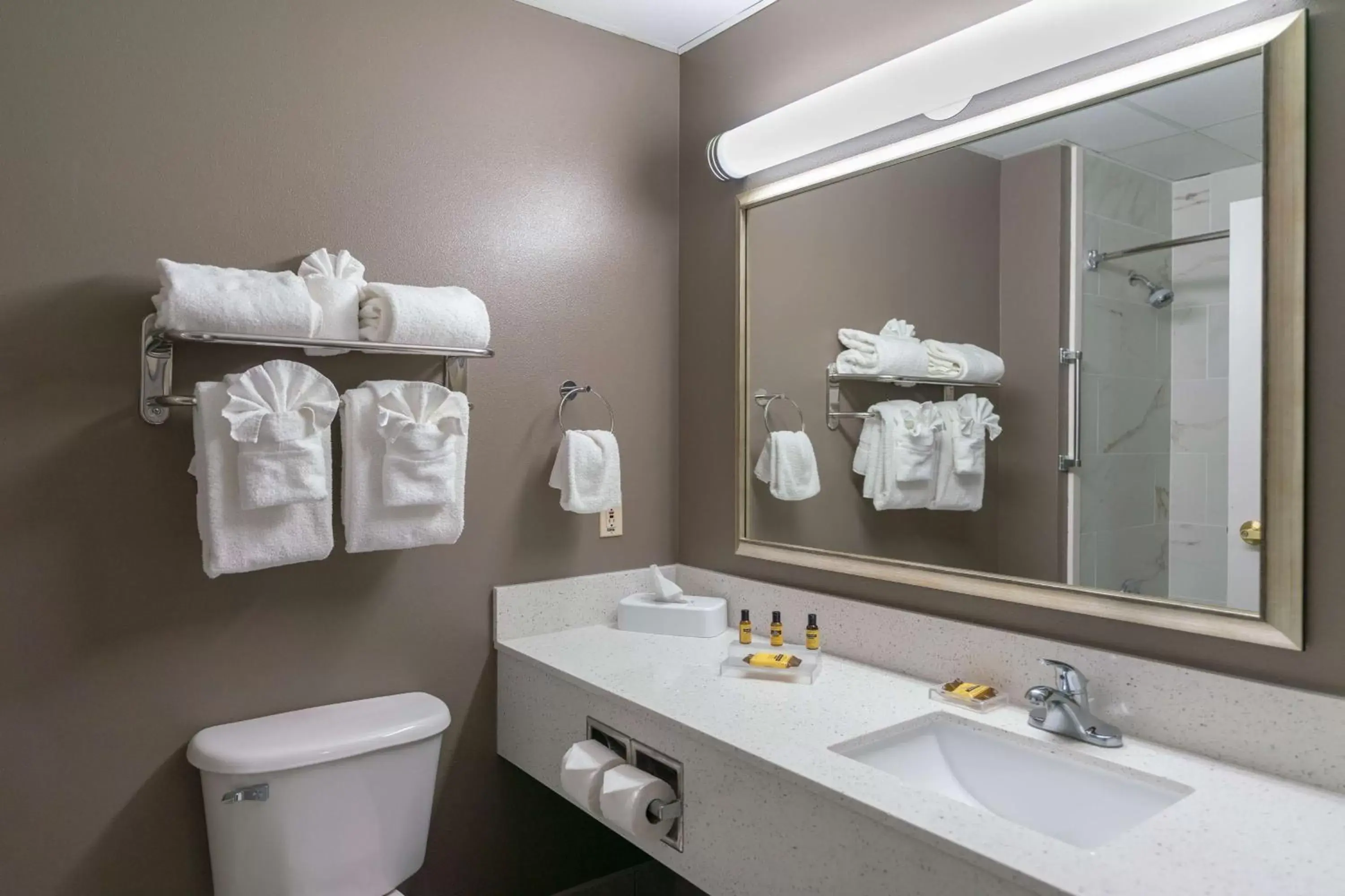 Bathroom in Best Western Plus Lake City