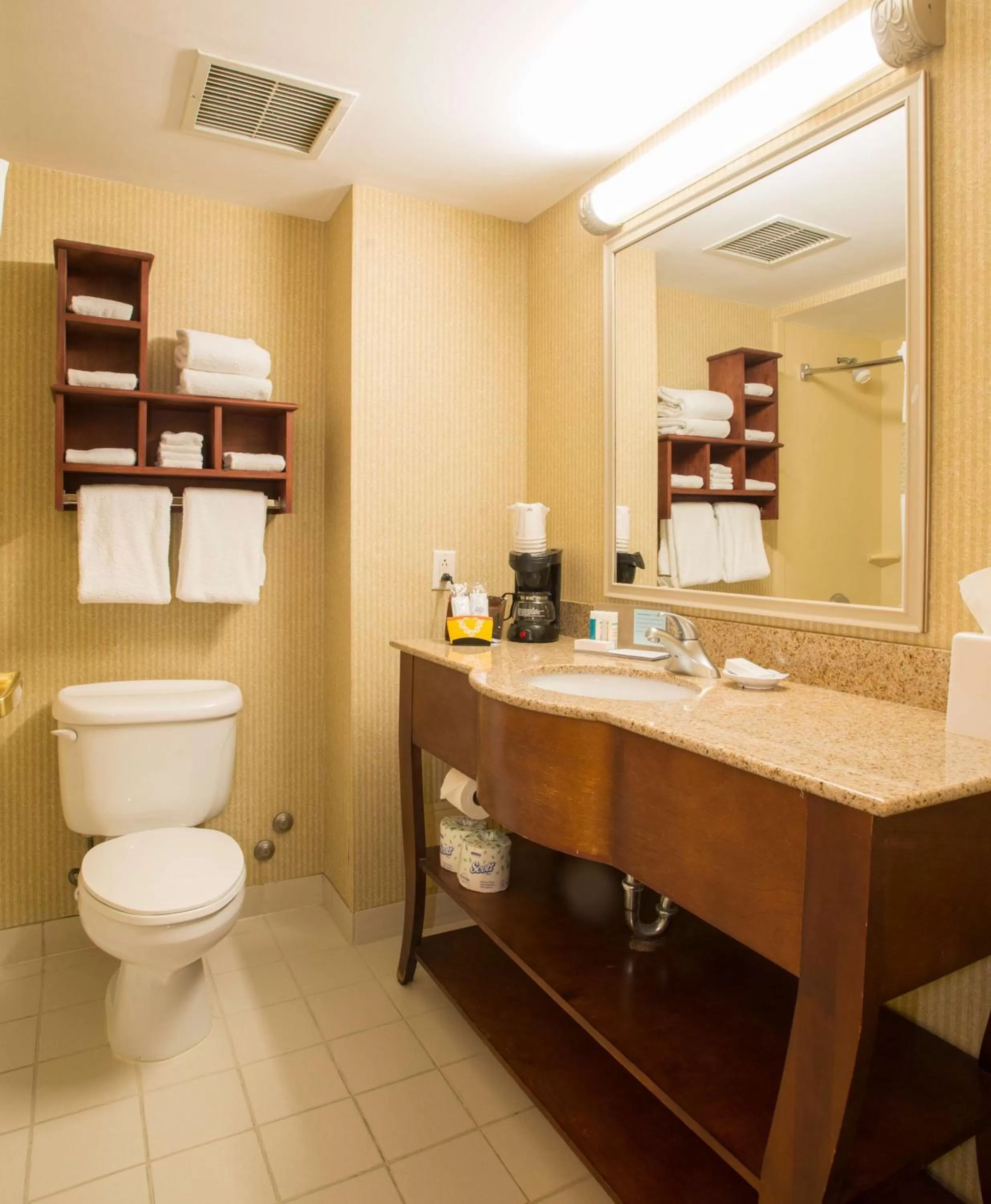 Bathroom in Hampton Inn Toronto-Mississauga West