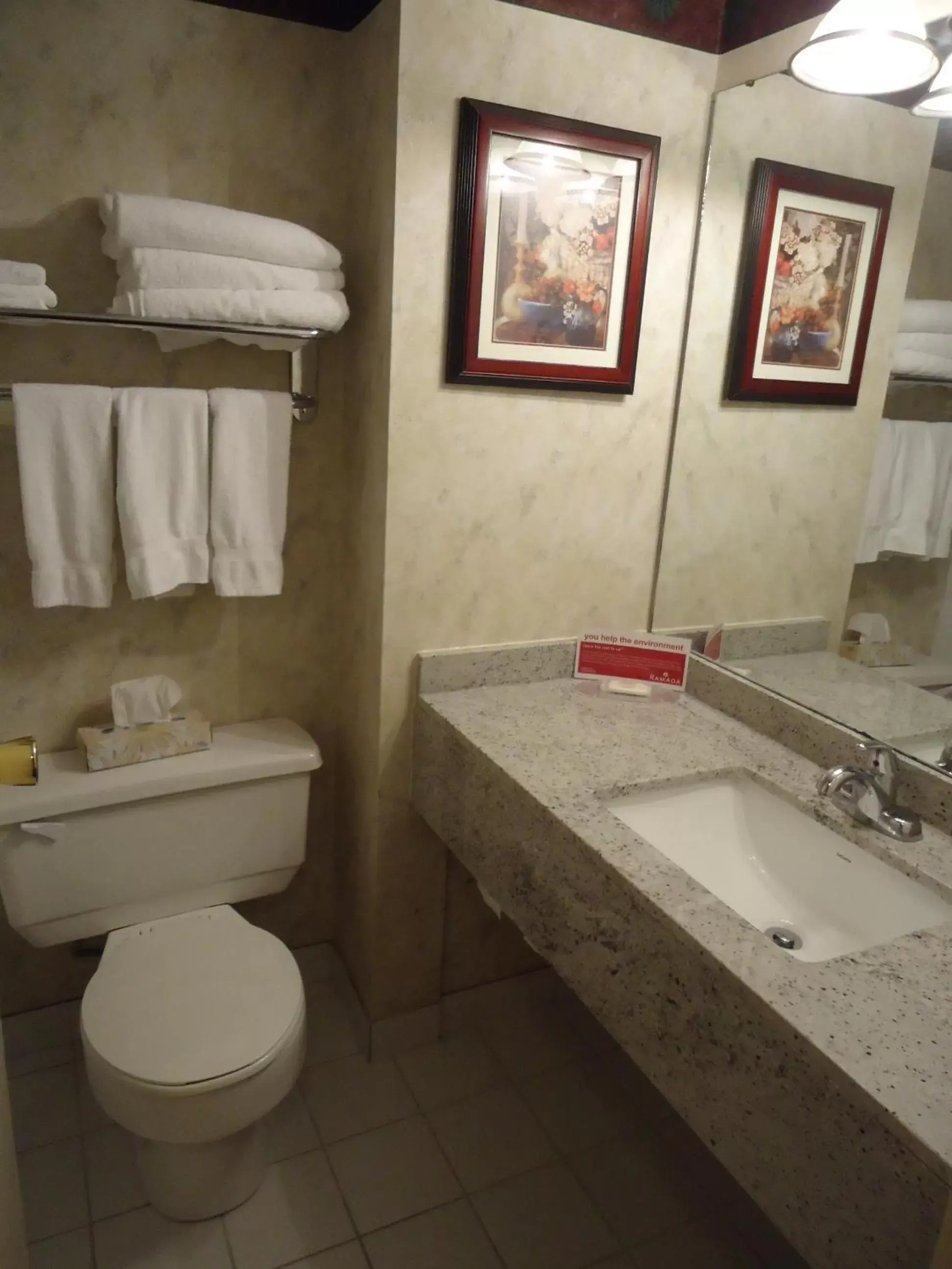 Bathroom in Ramada by Wyndham Trenton