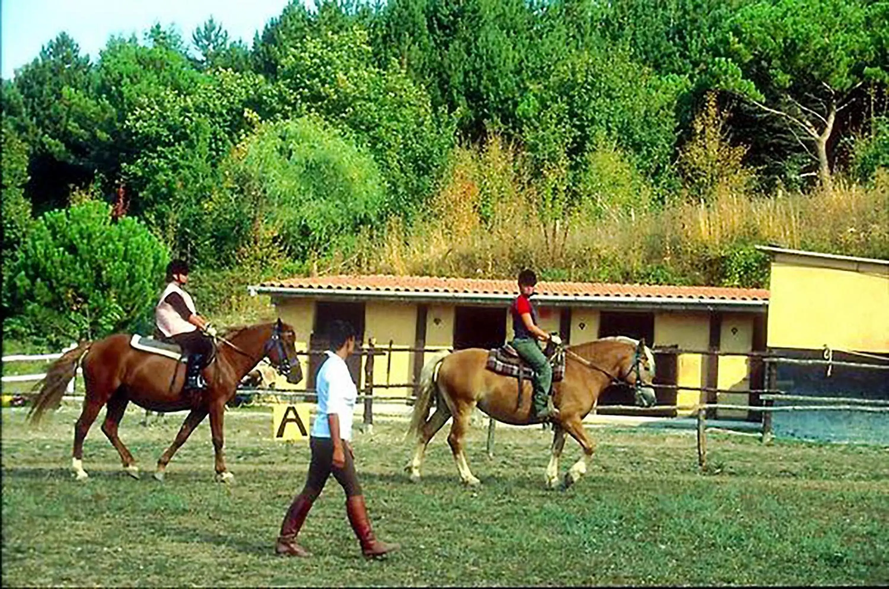 Activities, Horseback Riding in Toscana Wellness Resort