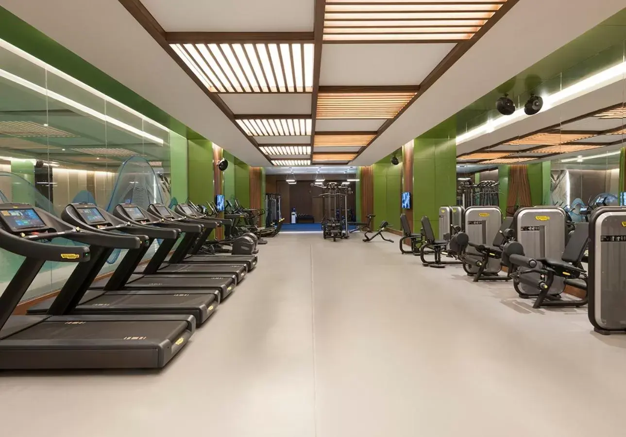 Spa and wellness centre/facilities, Fitness Center/Facilities in Elite World Grand Istanbul Küçükyalı