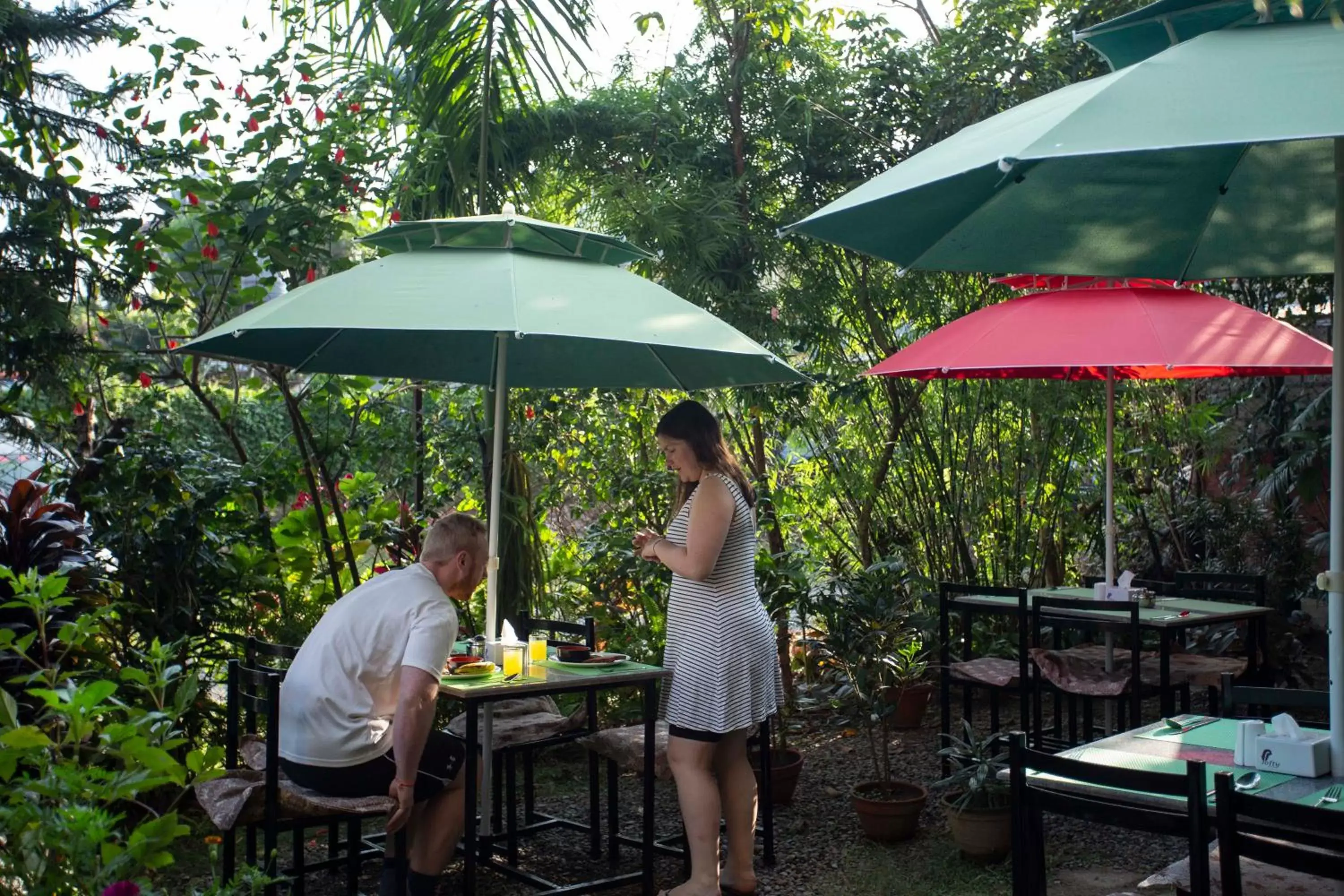 Restaurant/places to eat in Hotel Splendid View Restaurant/places to eat in Hotel Splendid View