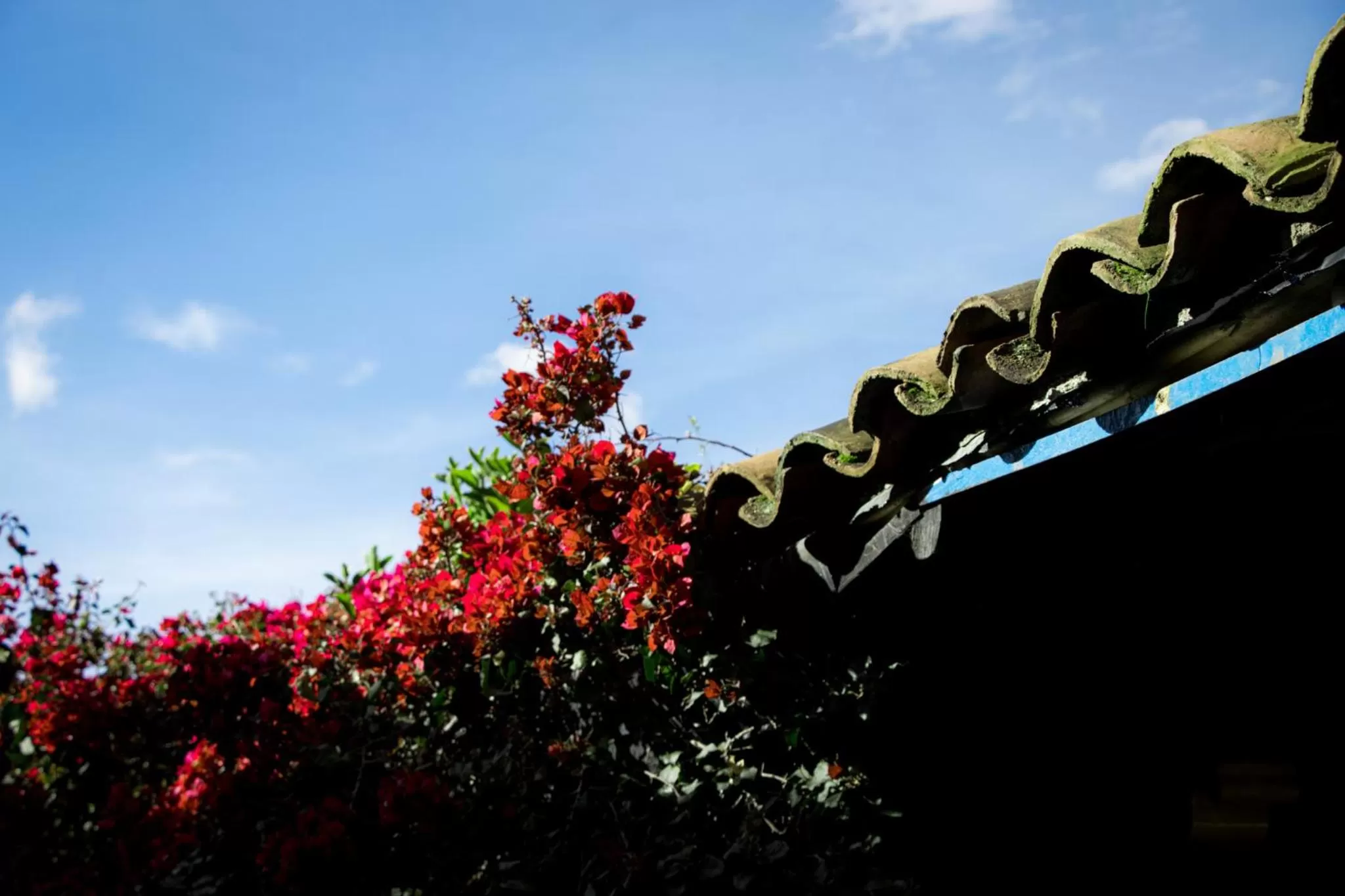 Hotel Museo la Posada del Molino