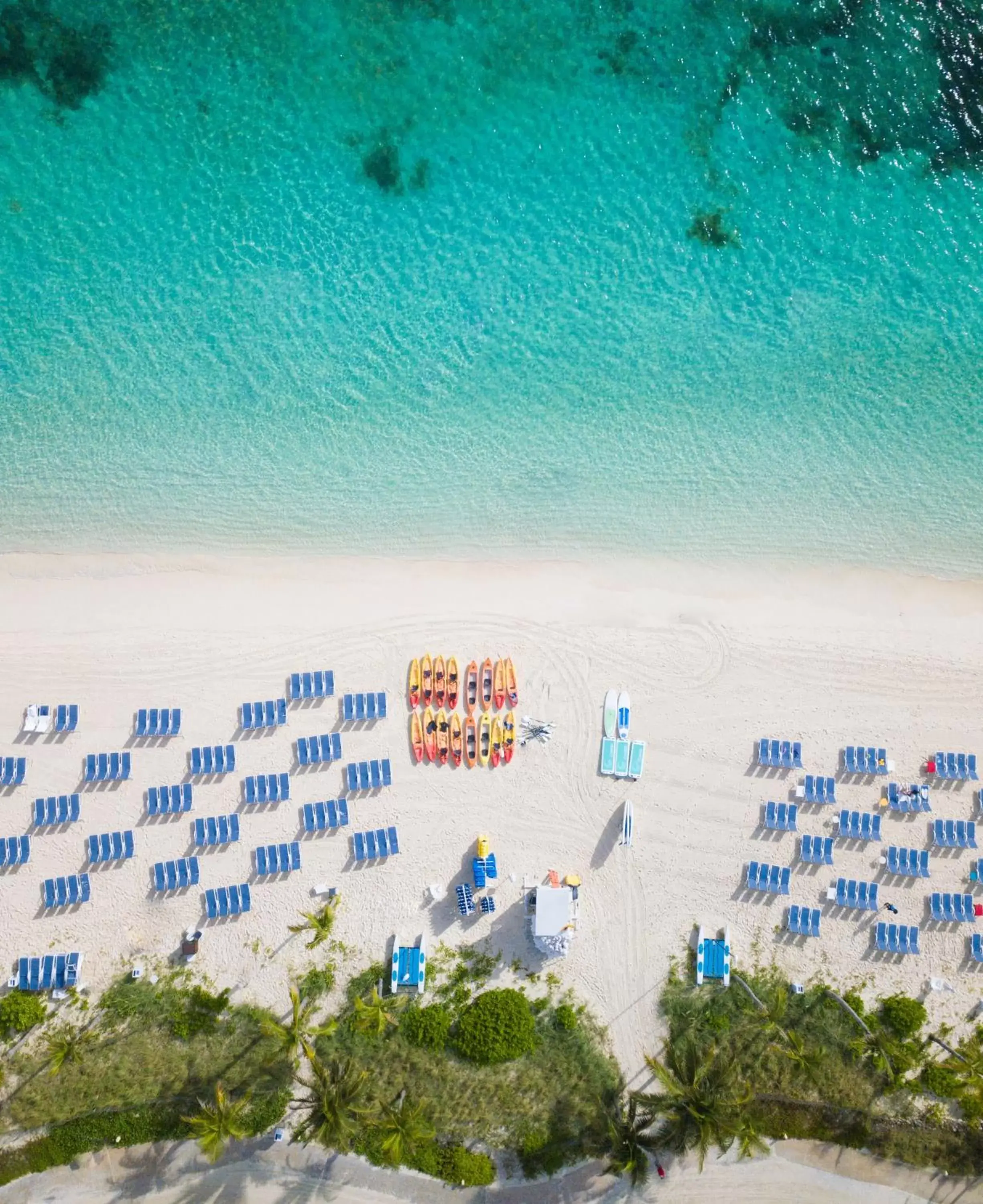 Bird's eye view, Bird's-eye View in SLS at Baha Mar