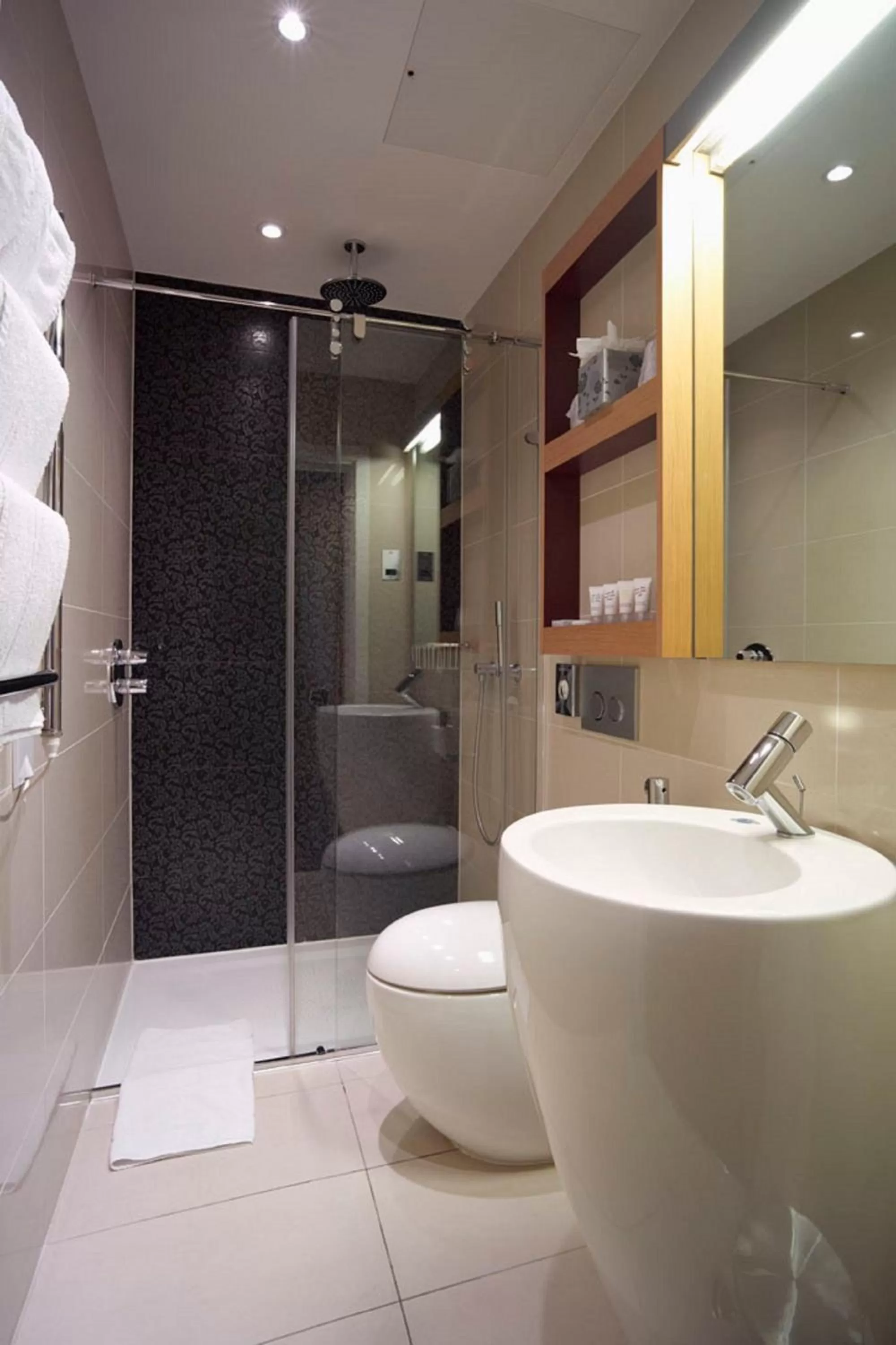 Shower in ibis Styles London Gloucester Road