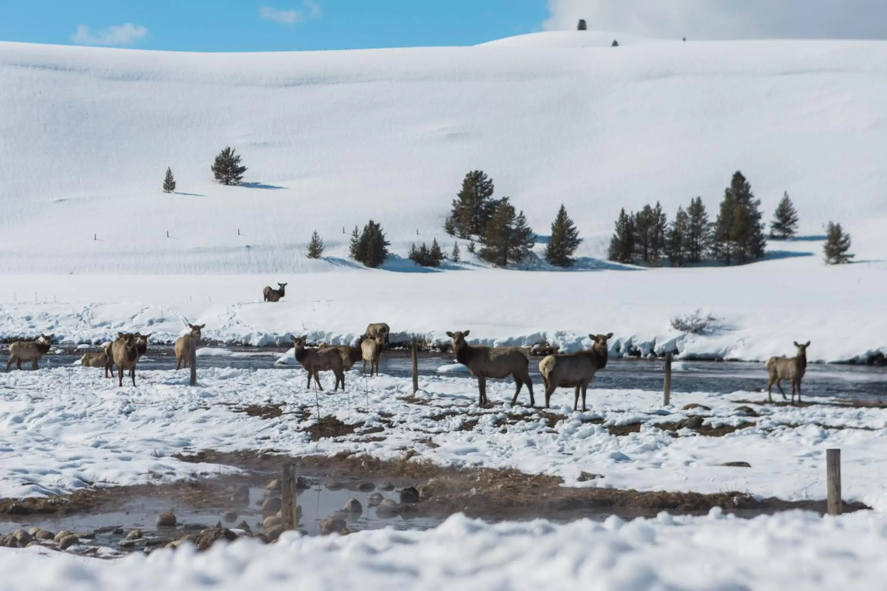 Winter in Stanley High Country Inn