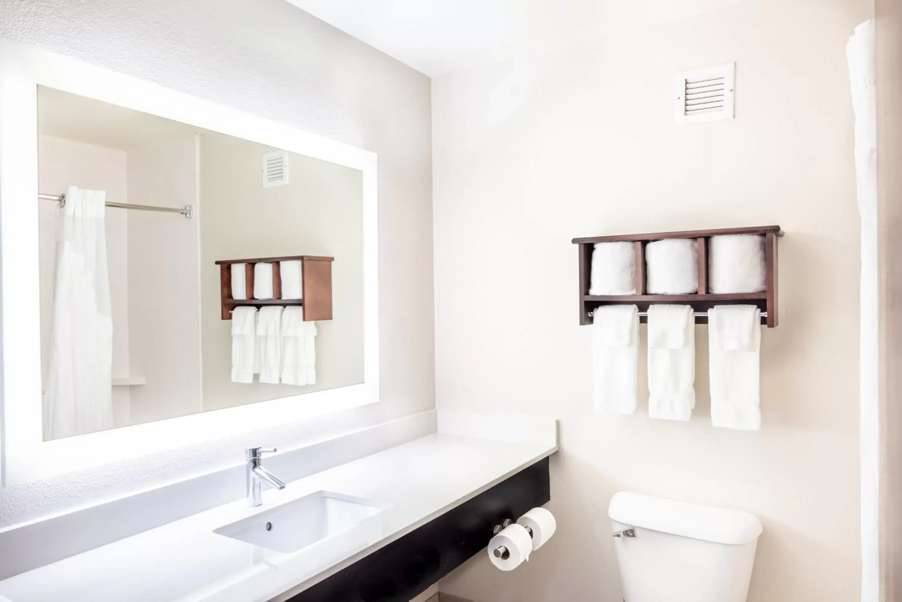 Bathroom in Holiday Inn Express Hotel & Suites Fort Payne, an IHG Hotel