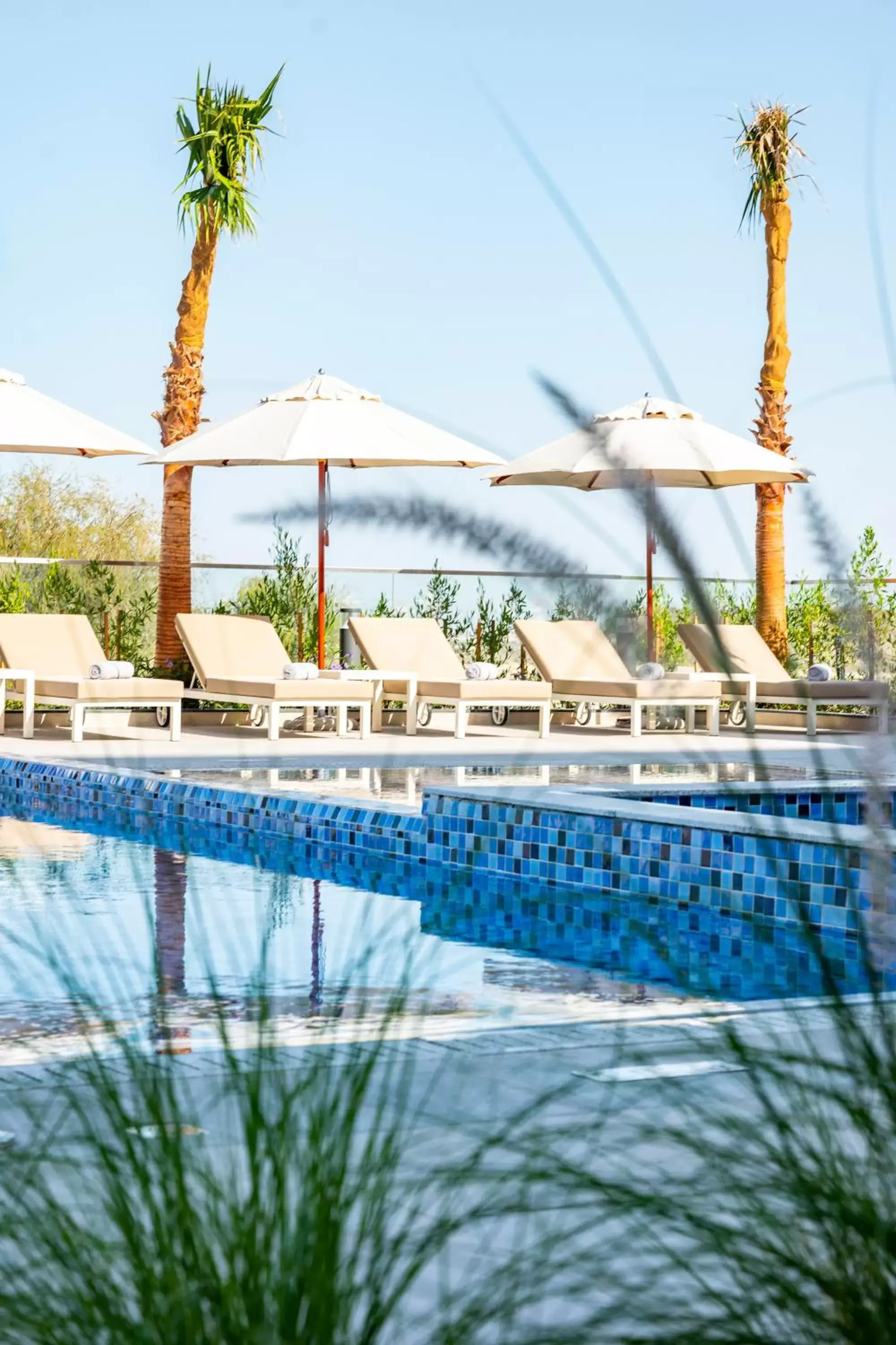 Pool view, Swimming Pool in Remal Hotel