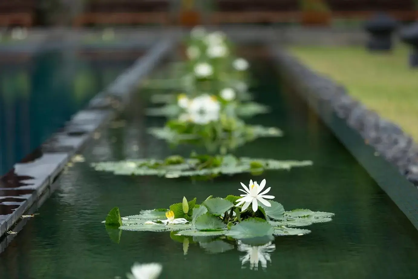 Swimming pool in Anantara Chiang Mai Resort