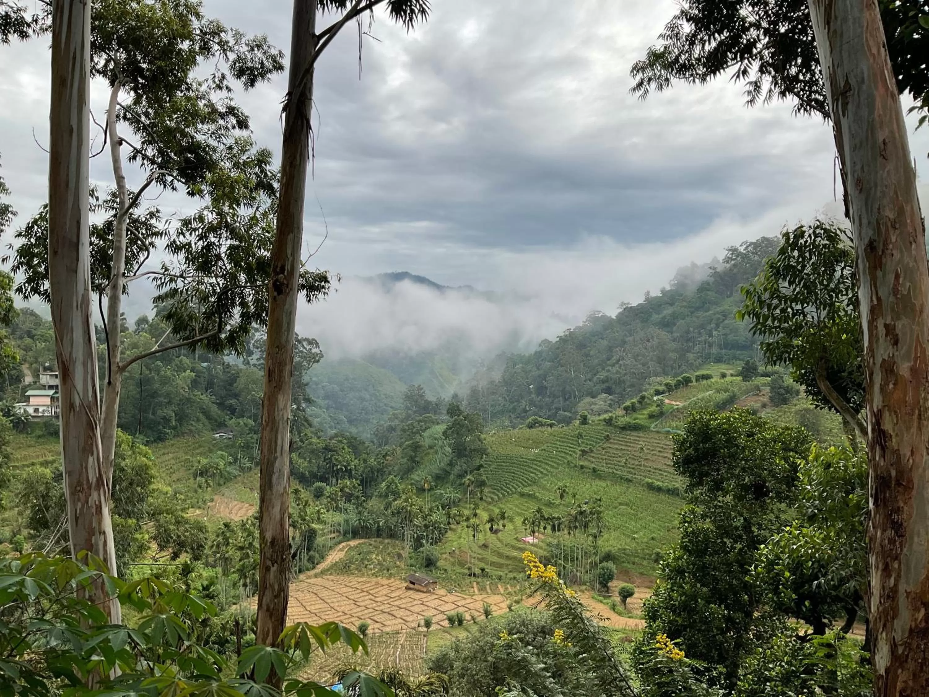 View (from property/room), Natural Landscape in Silent Nest