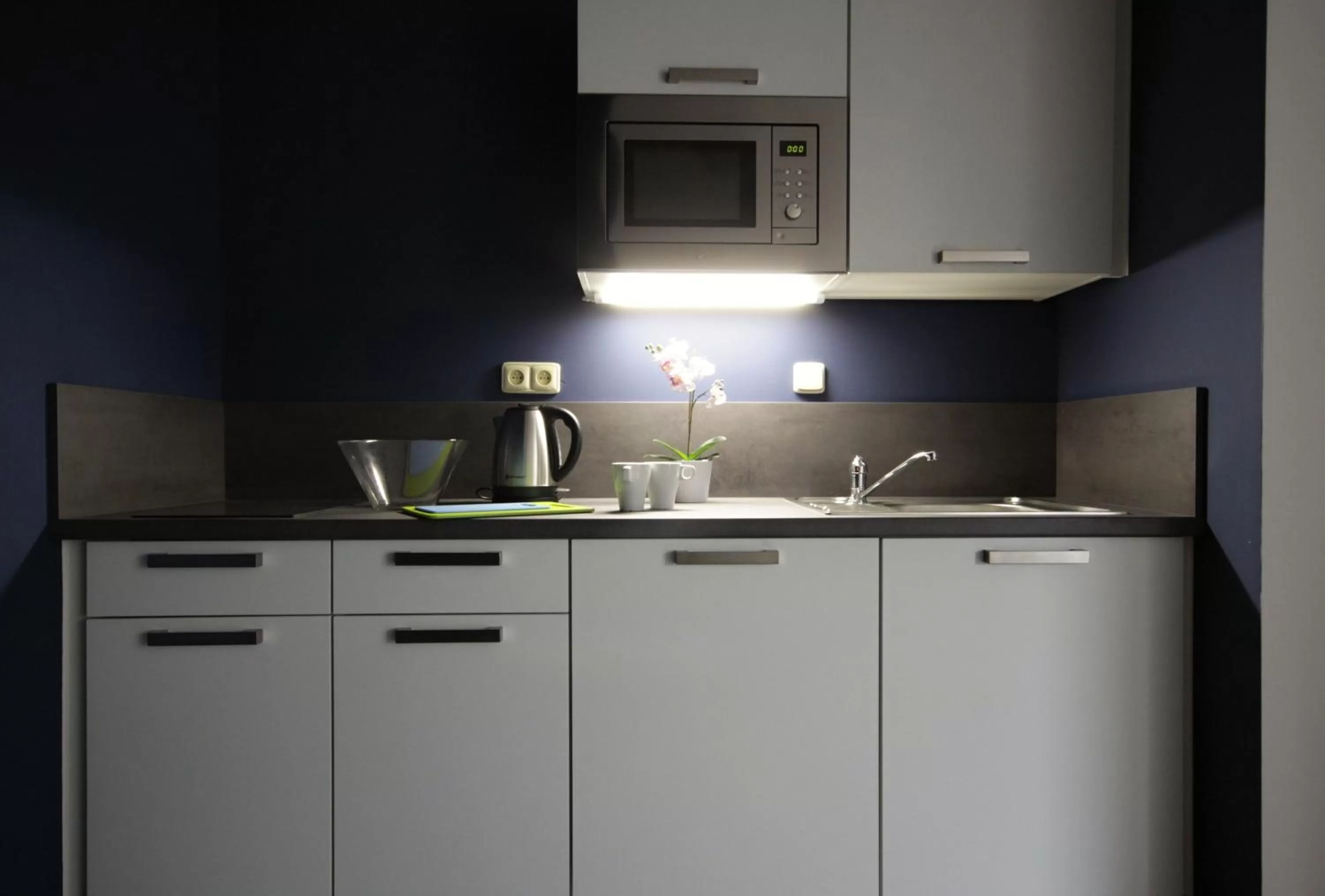 Kitchen or kitchenette in Alveo Suites