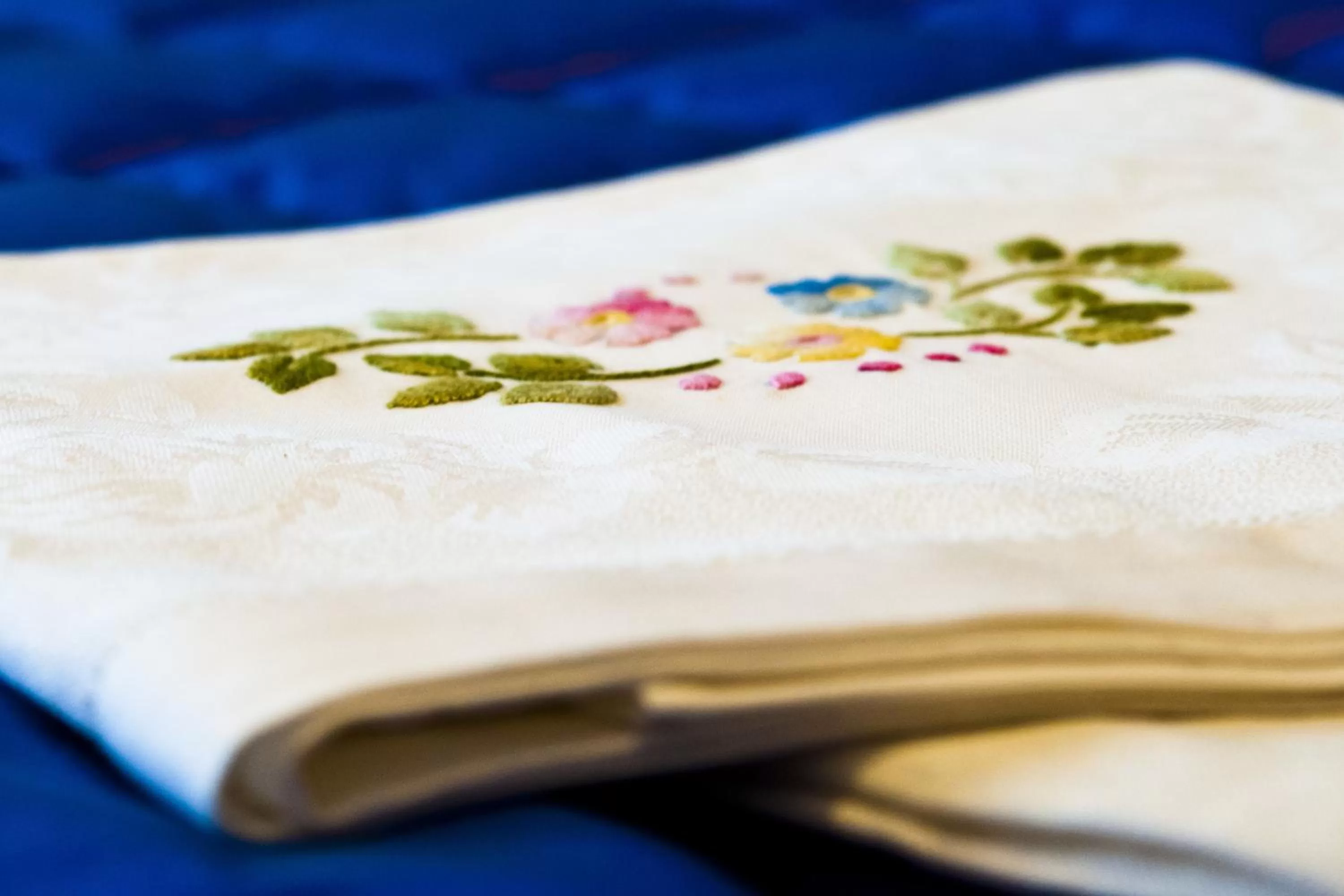 Decorative detail in Domus Fontis