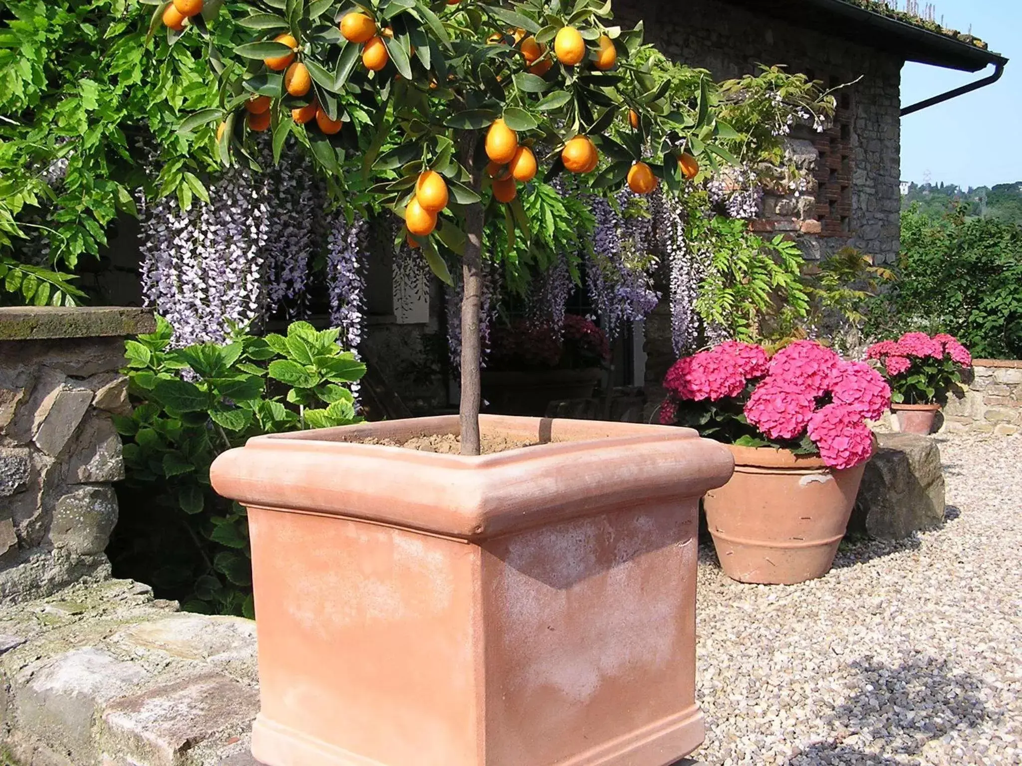 Garden in Il Poggiolo Delle Rose Bed&Breakfast