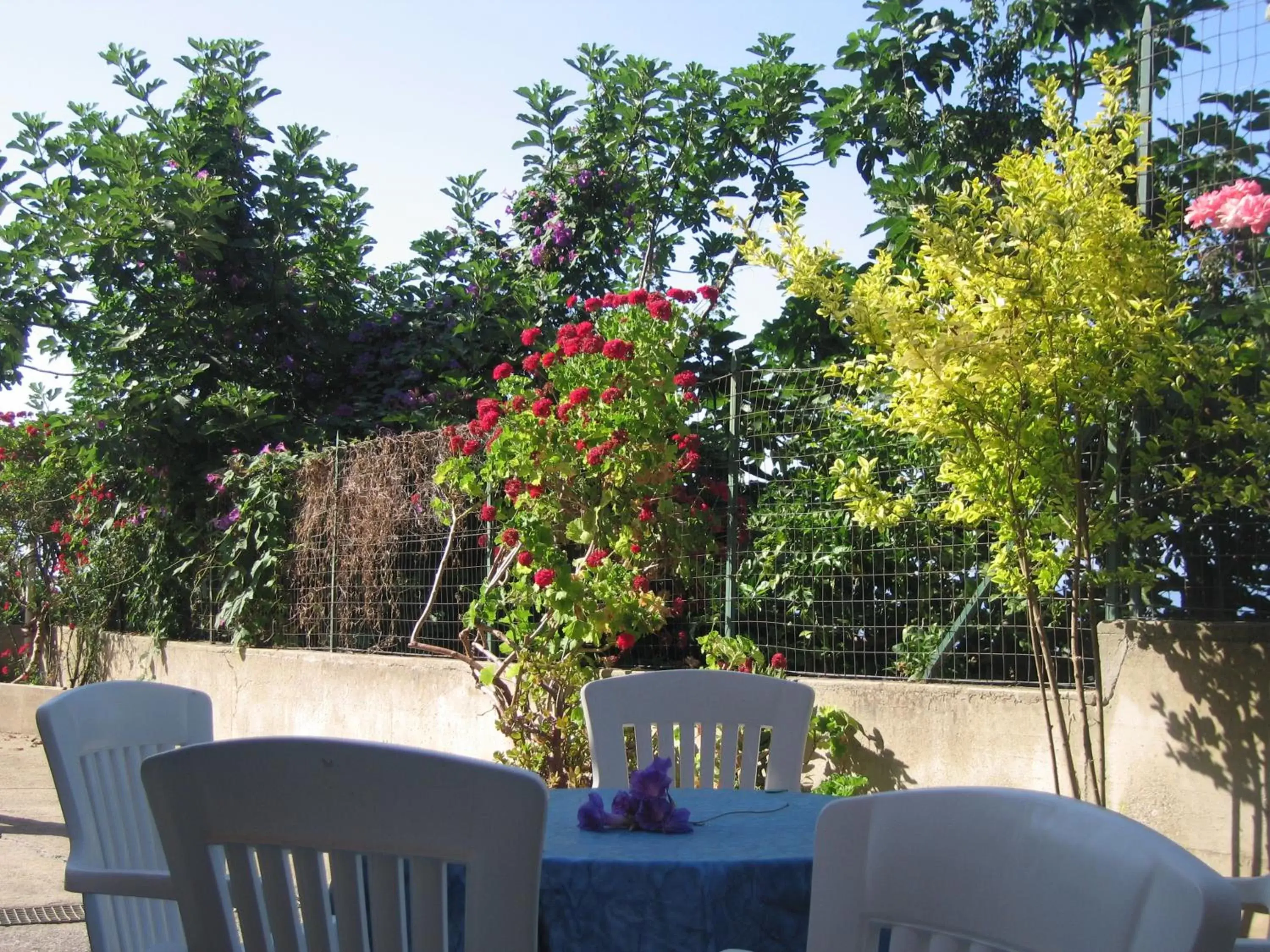 Garden in ResidenceSanleo