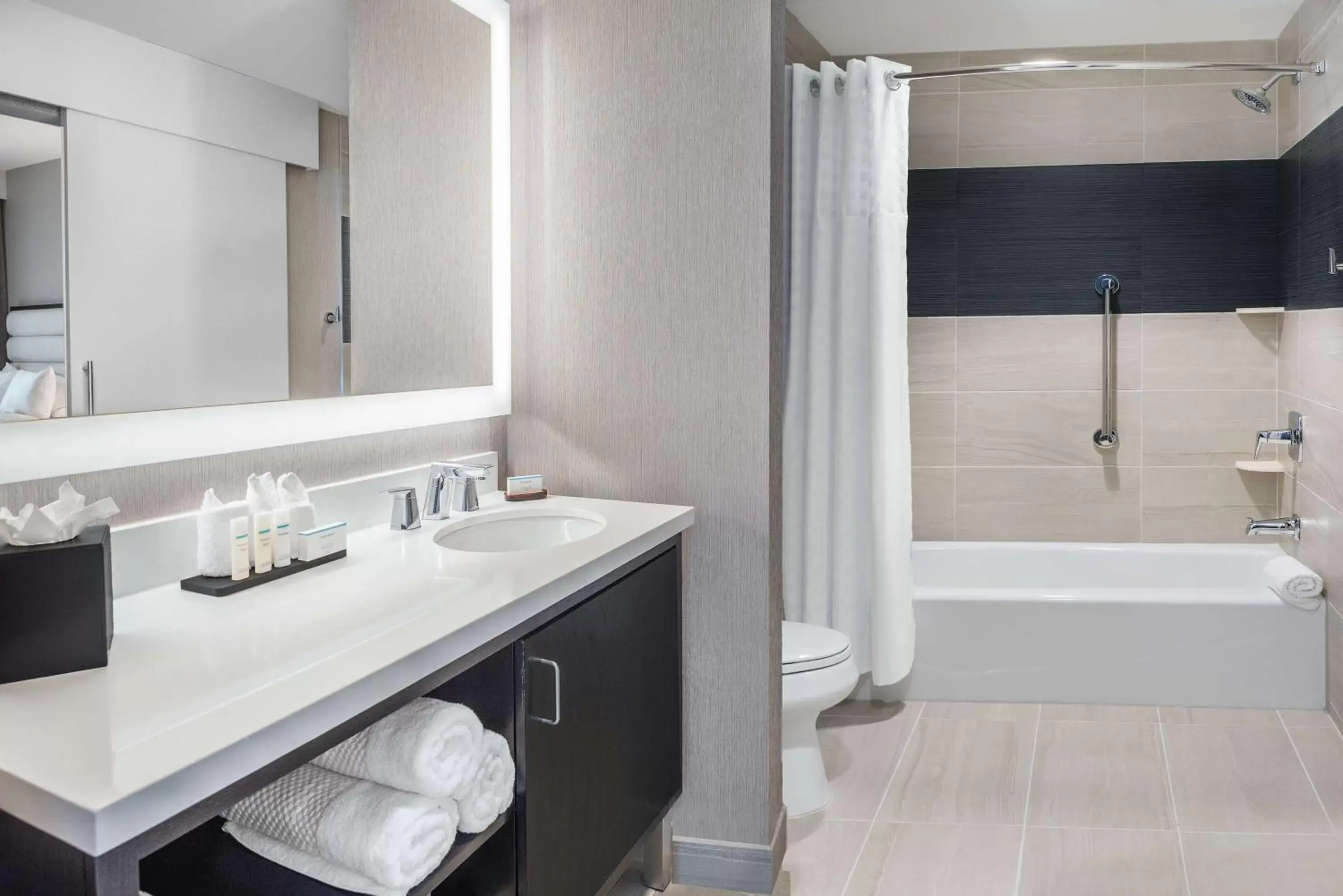 Bathroom in Embassy Suites by Hilton Houston West - Katy
