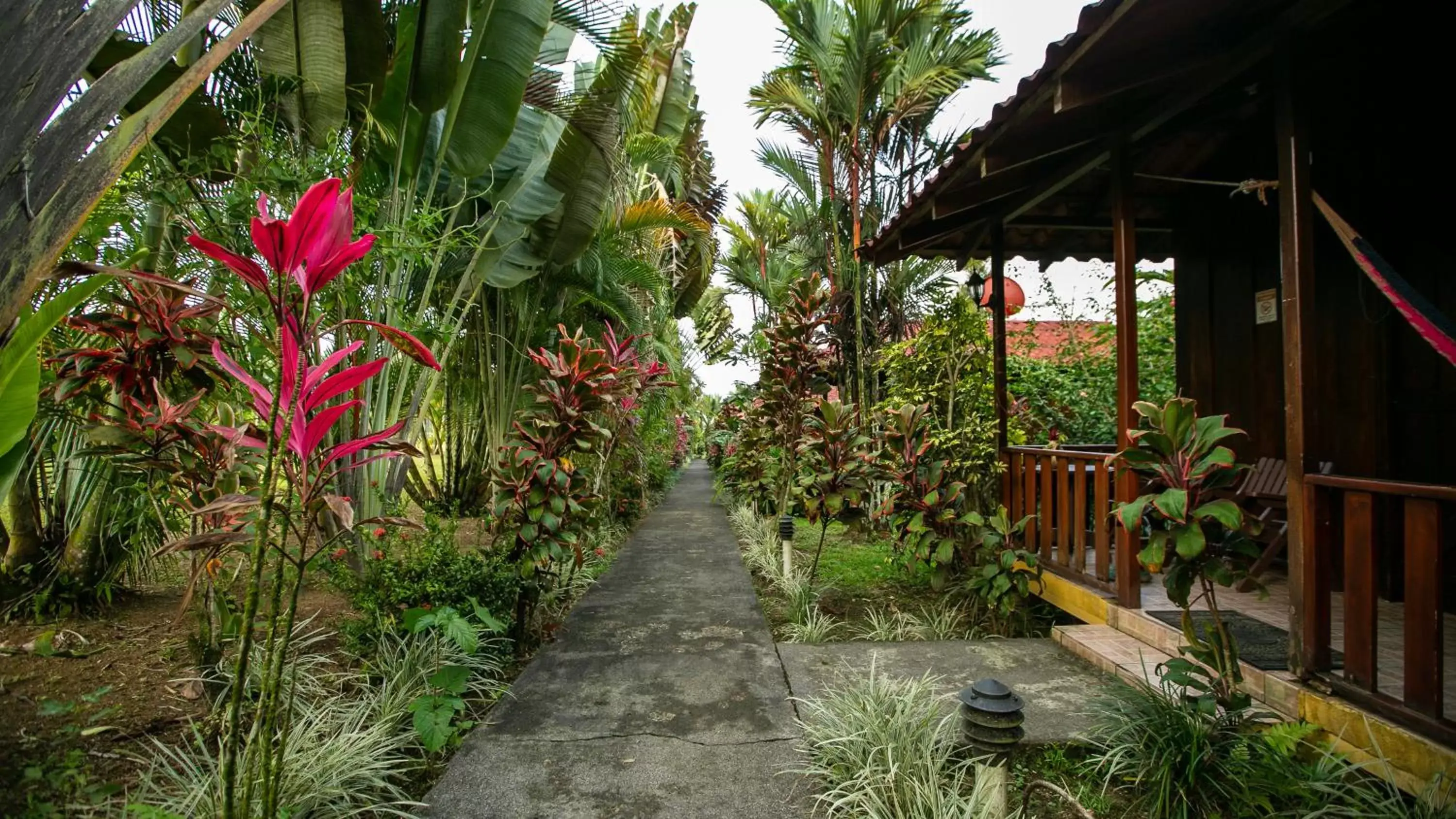 Garden in Hotel Rancho Cerro Azul