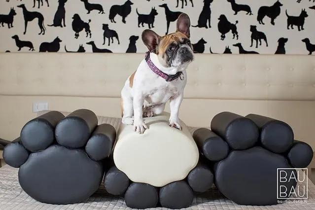 Hotel Principe SNC di Paloschi Valentina e Giulia