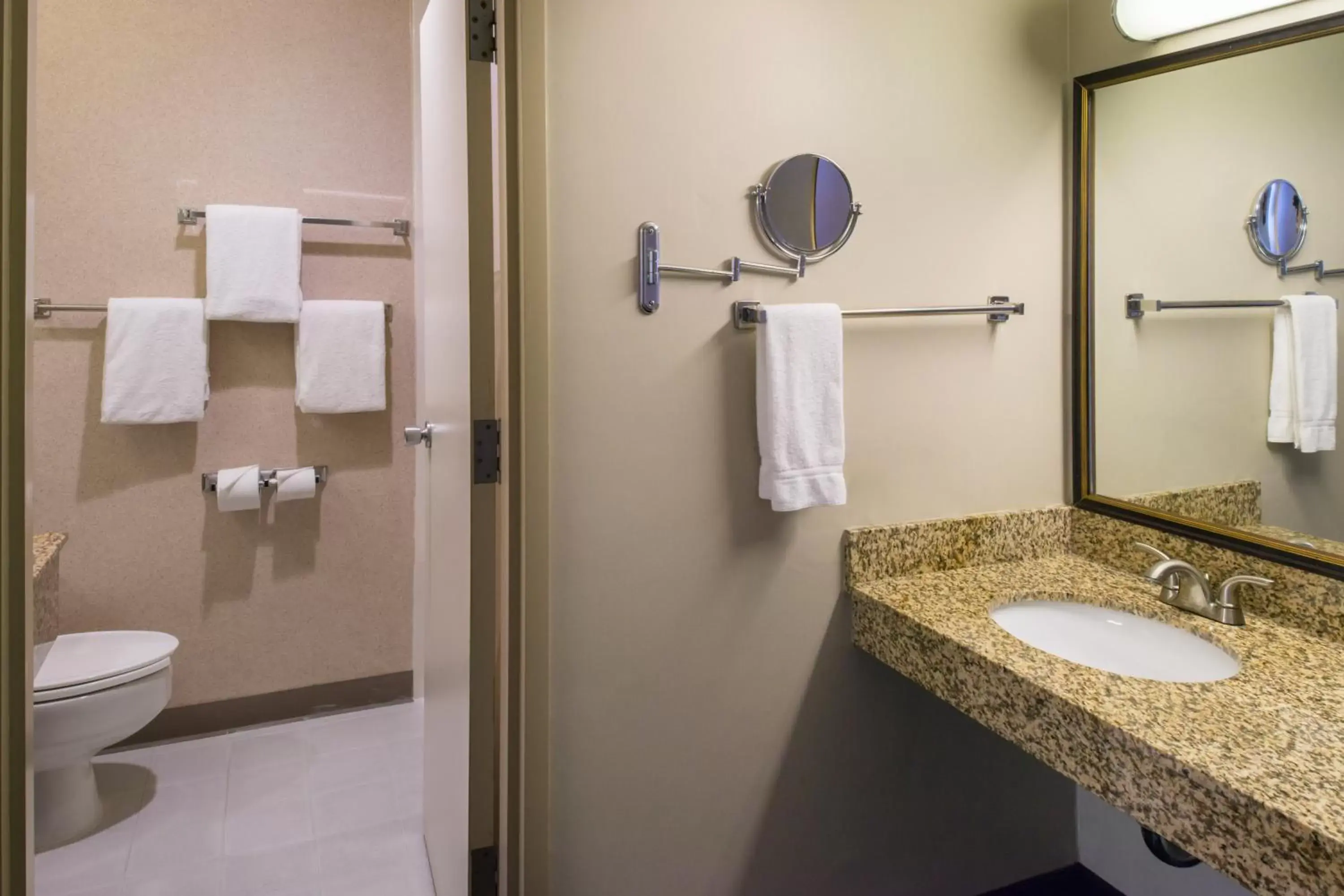 Bathroom in Holiday Inn Dublin - Pleasanton, an IHG Hotel