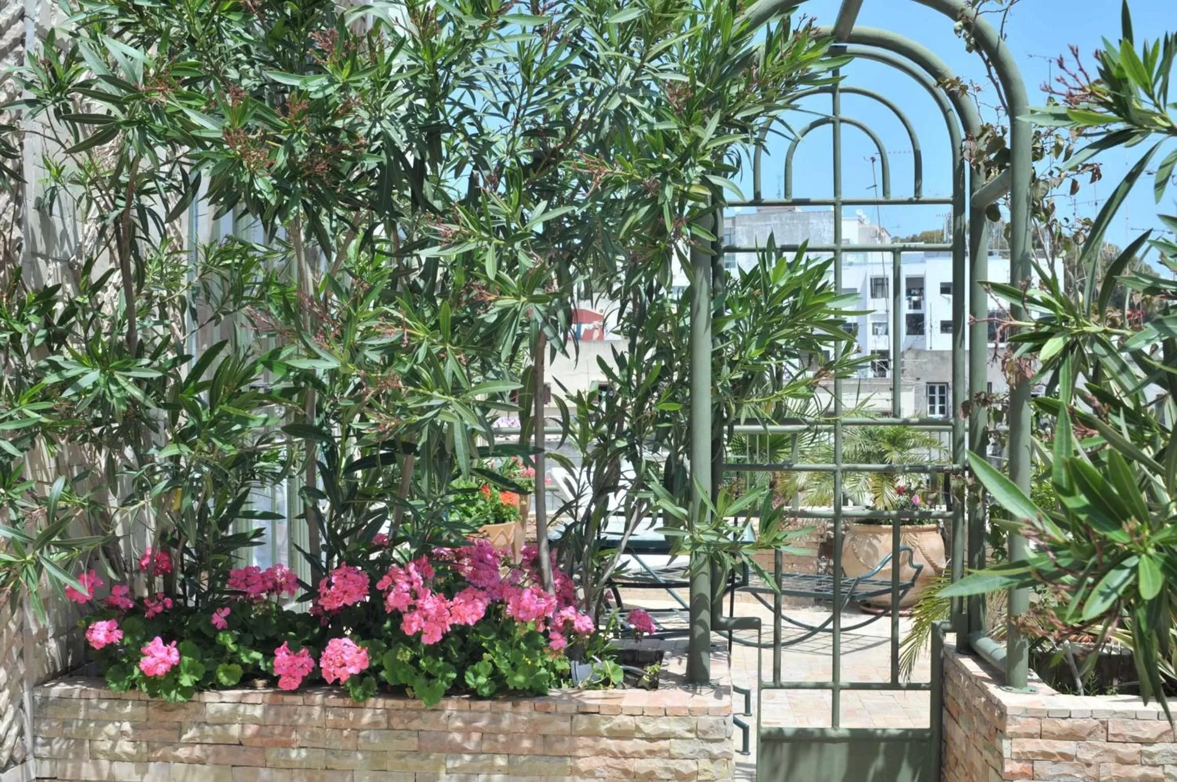 Balcony/Terrace in La Maison de Tanger