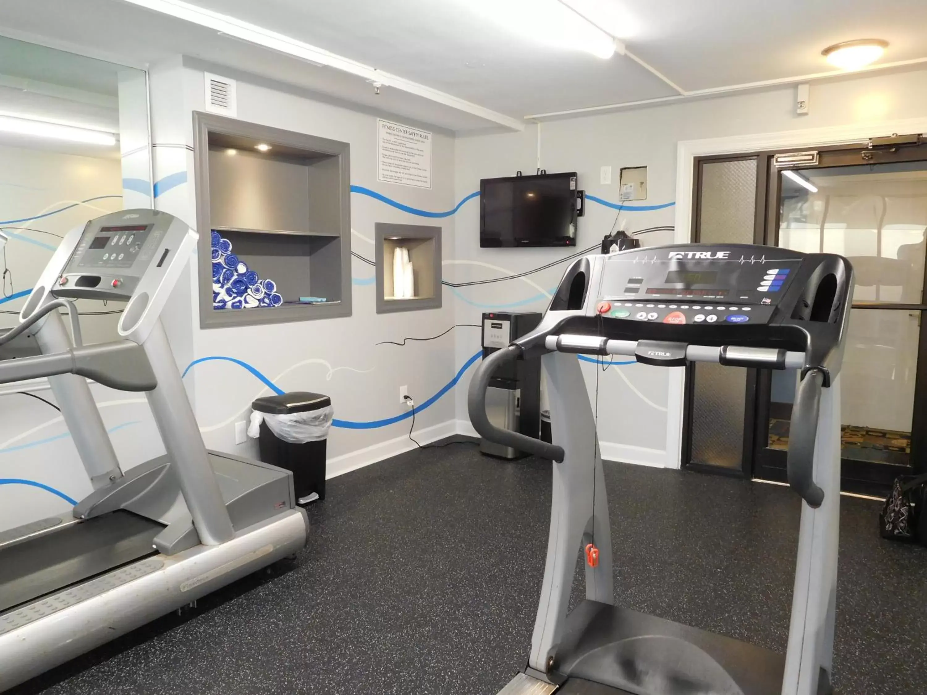 Fitness centre/facilities, Fitness Center/Facilities in Wyndham Garden Greensboro